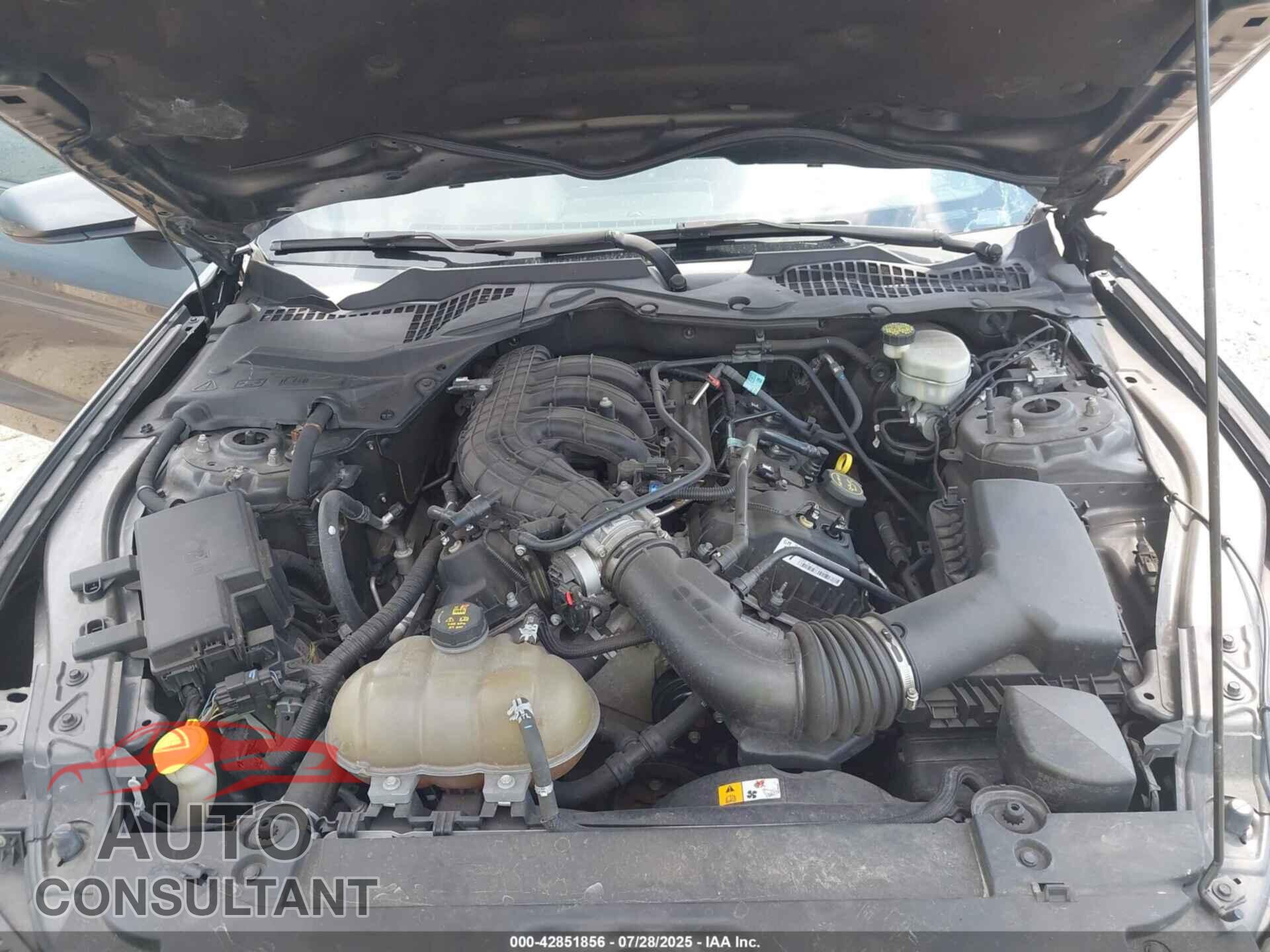 FORD MUSTANG 2017 - 1FA6P8AM9H5246815
