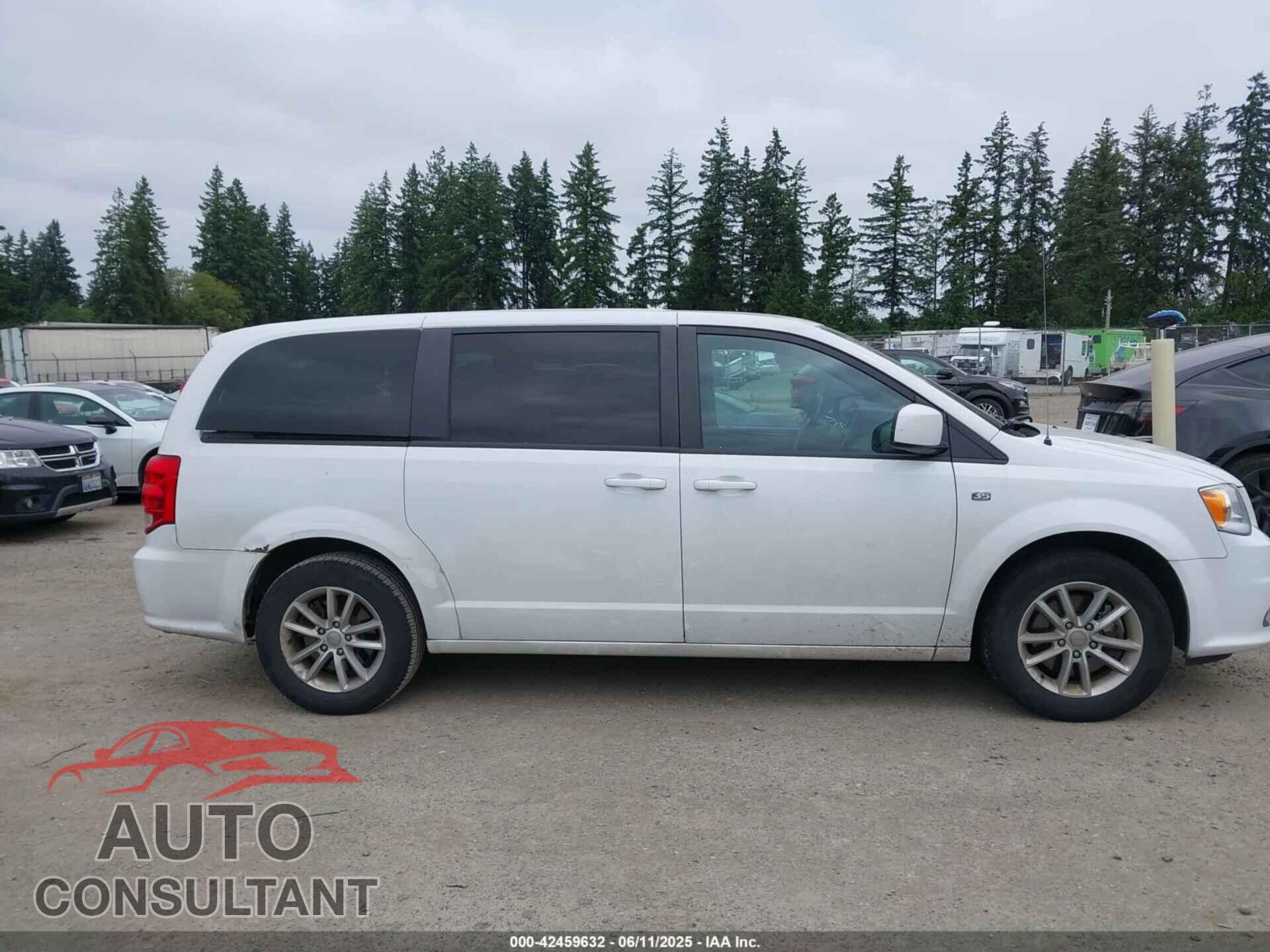 DODGE GRAND CARAVAN 2019 - 2C4RDGBG2KR759787