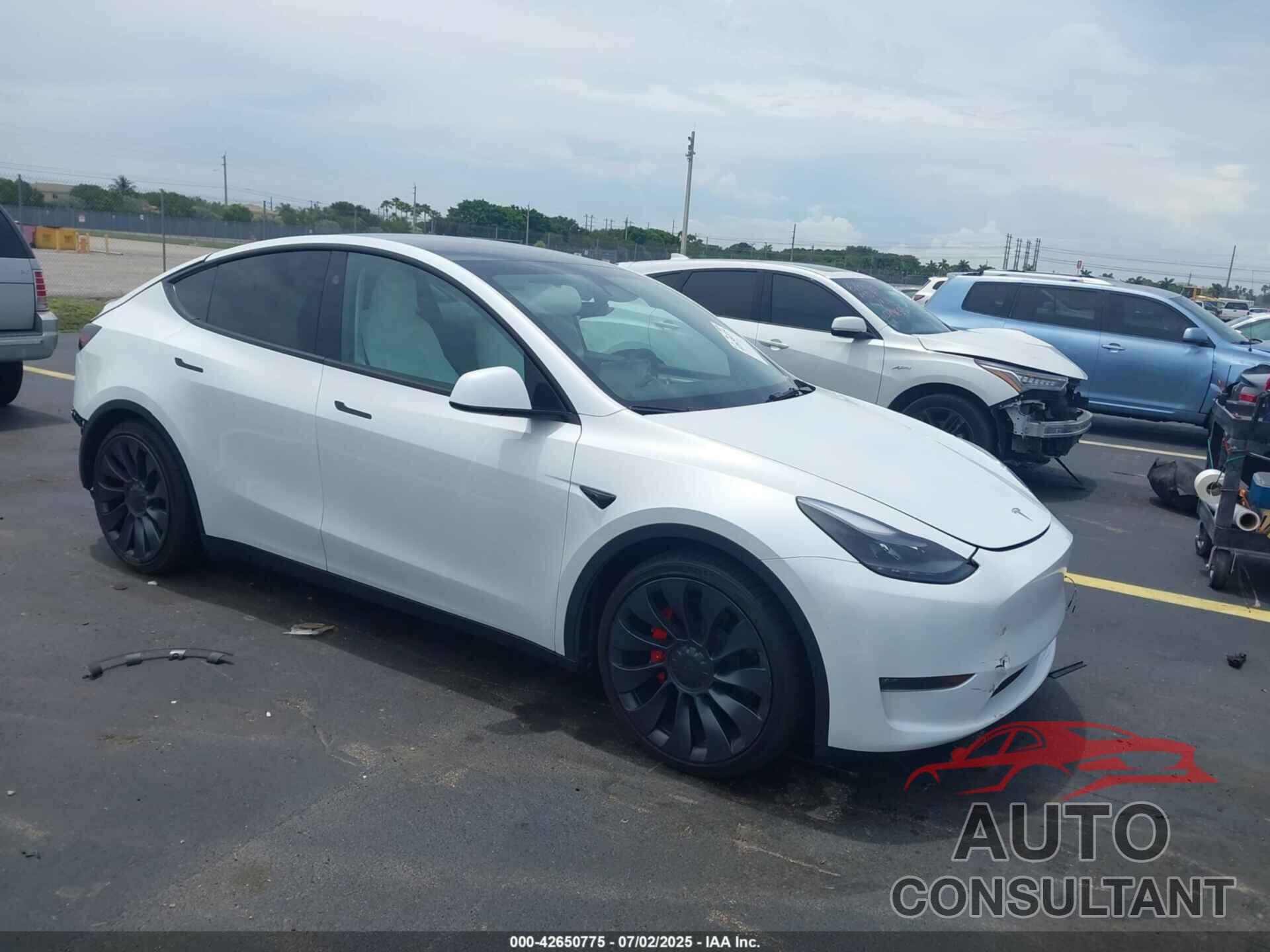 TESLA MODEL Y 2024 - 7SAYGDEF4RA267997