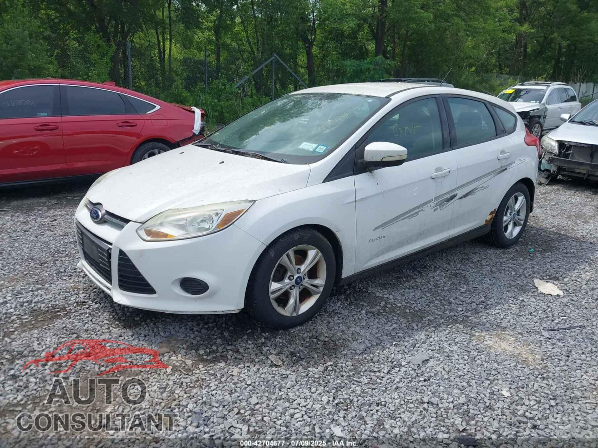 FORD FOCUS 2014 - 1FADP3K24EL163467