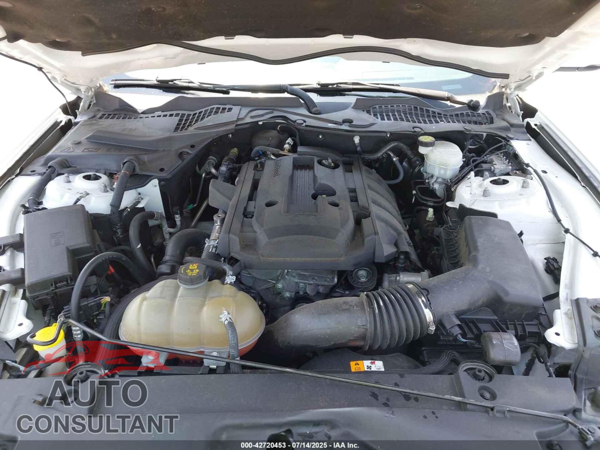 FORD MUSTANG 2017 - 1FA6P8TH1H5254942