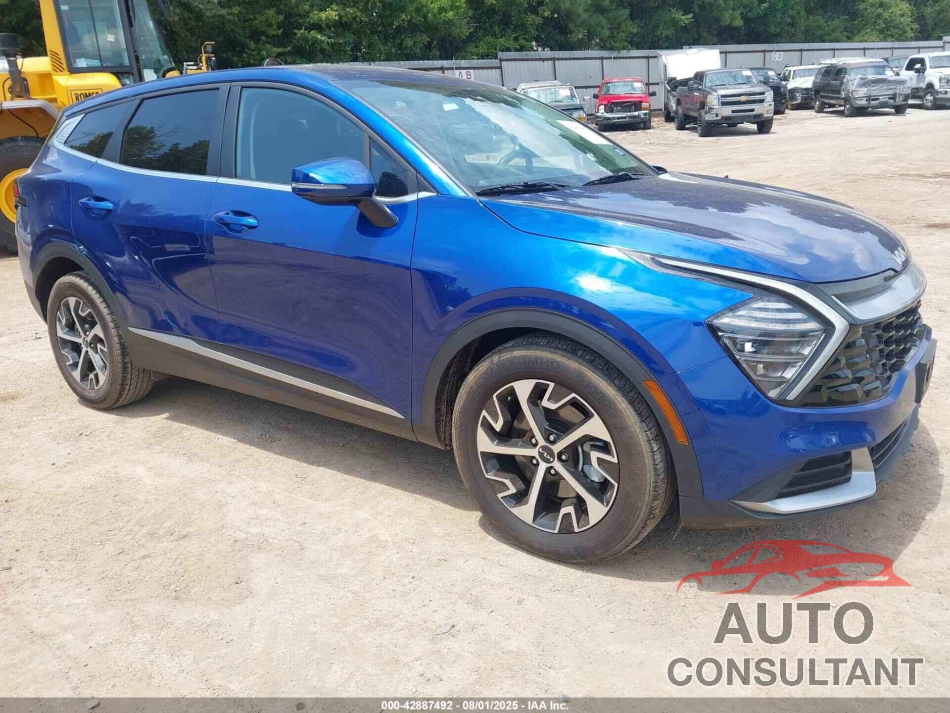 KIA SPORTAGE 2024 - 5XYK33DF8RG181677
