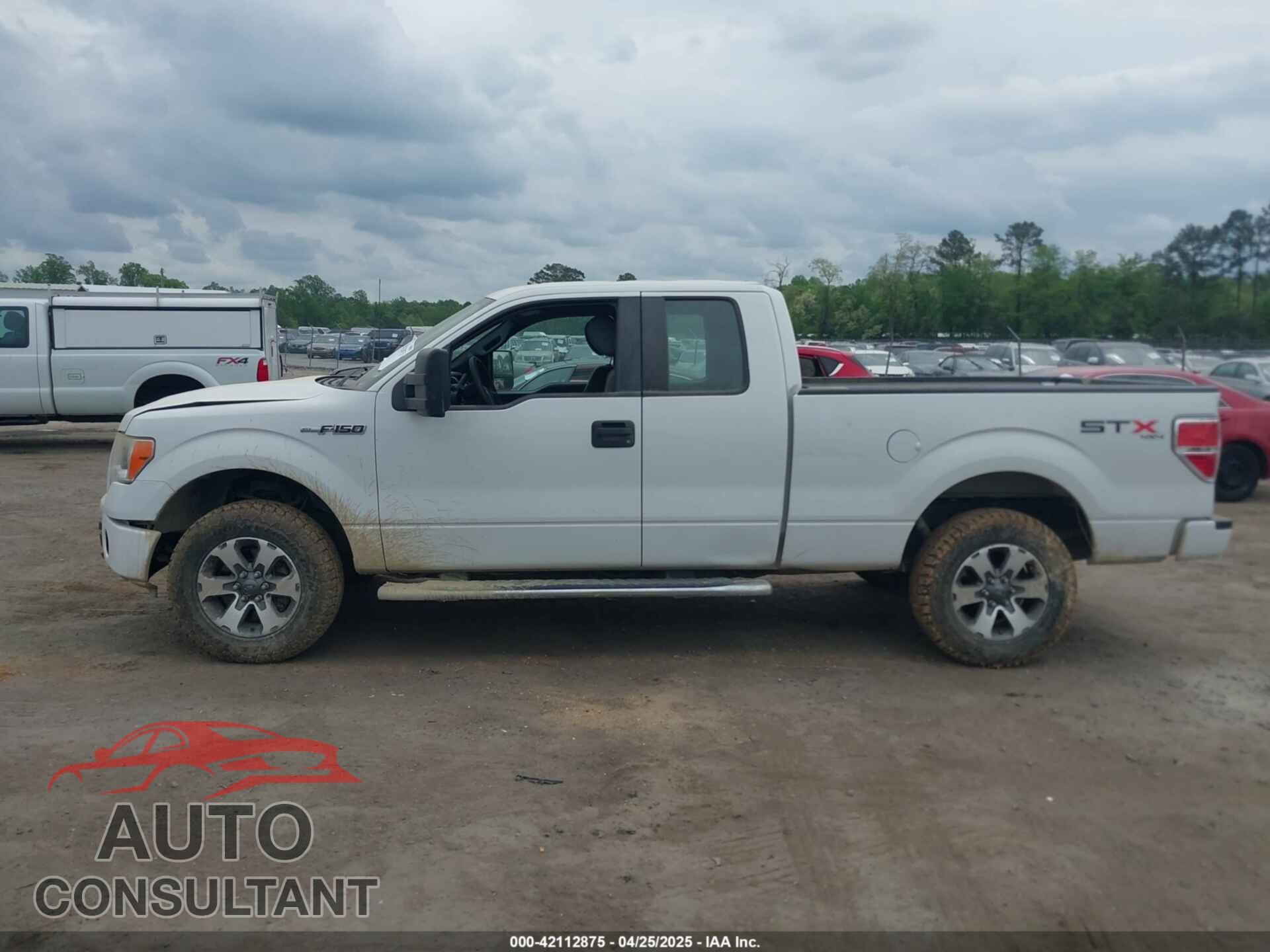 FORD F-150 2013 - 1FTEX1EM1DFD75952