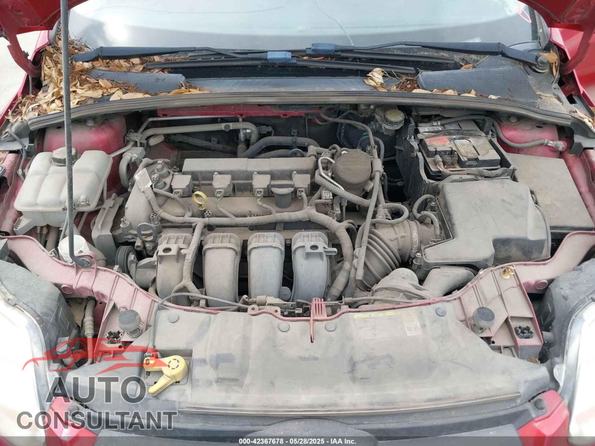 FORD FOCUS 2012 - 1FAHP3K24CL386011