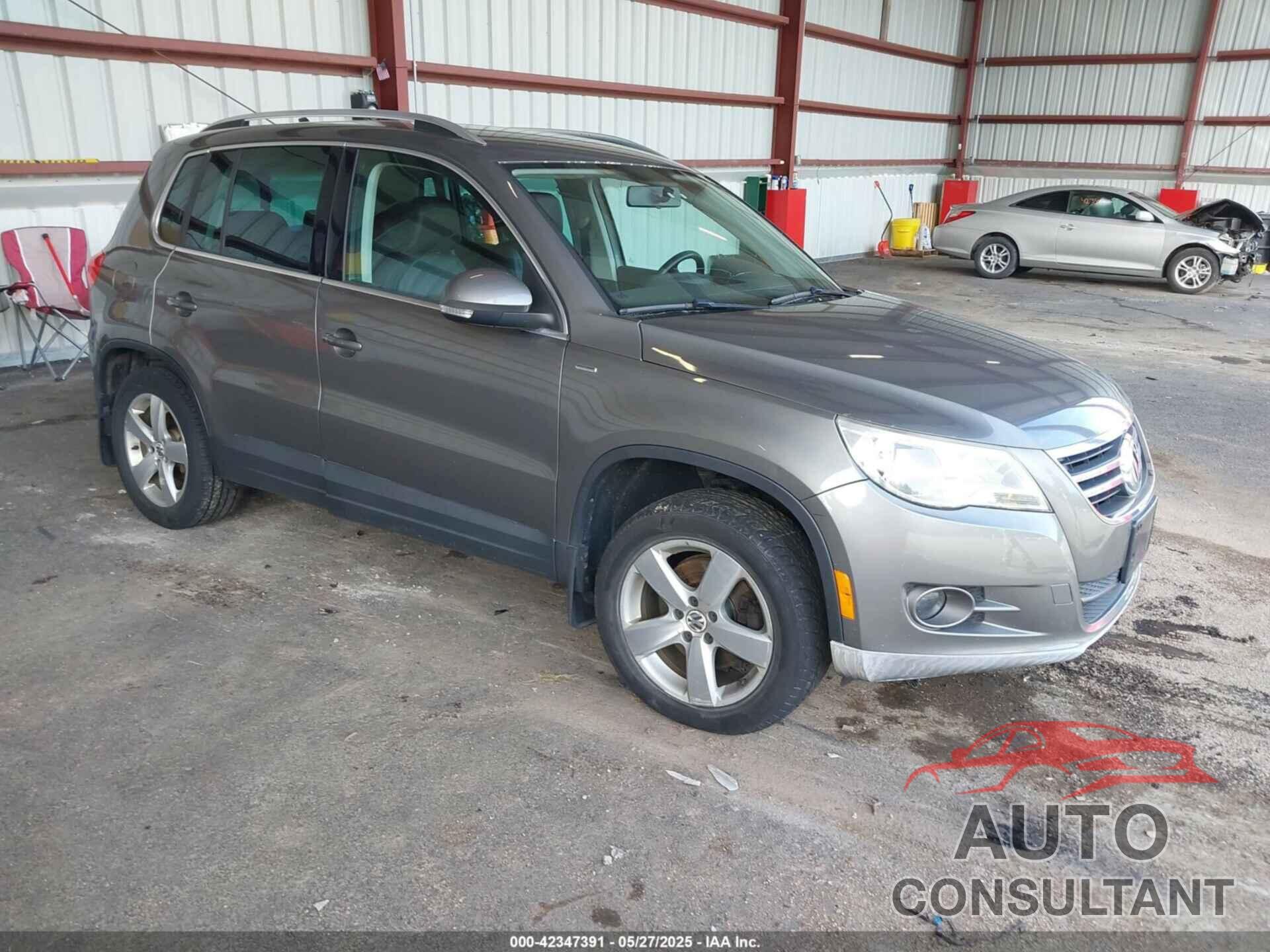 VOLKSWAGEN TIGUAN 2010 - WVGBV7AX5AW529548