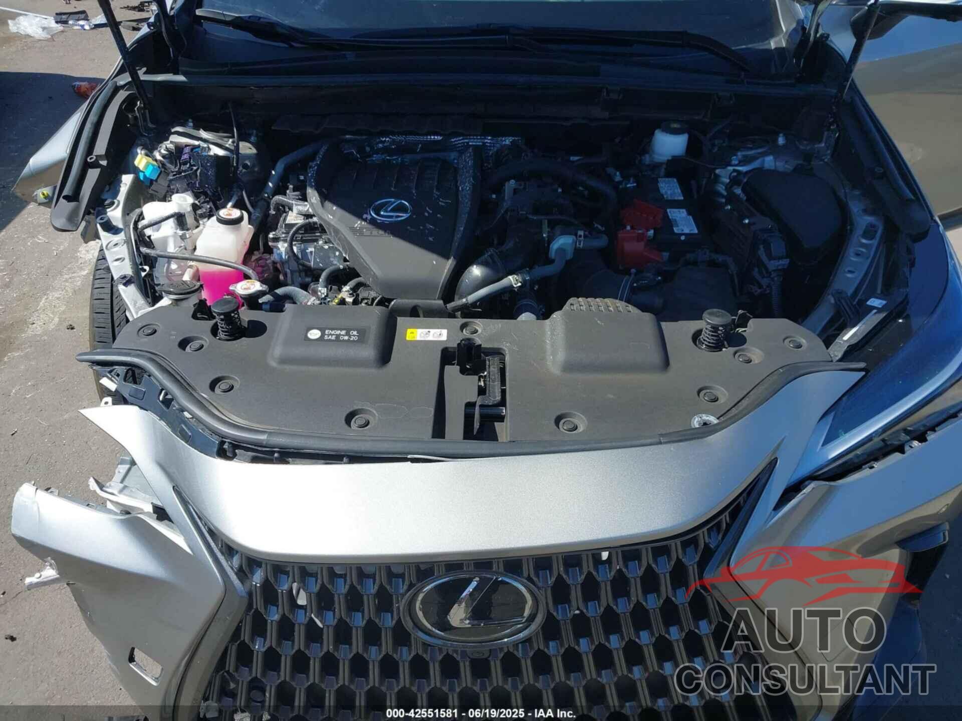 LEXUS NX 350 2024 - 2T2GGCEZ3RC049310