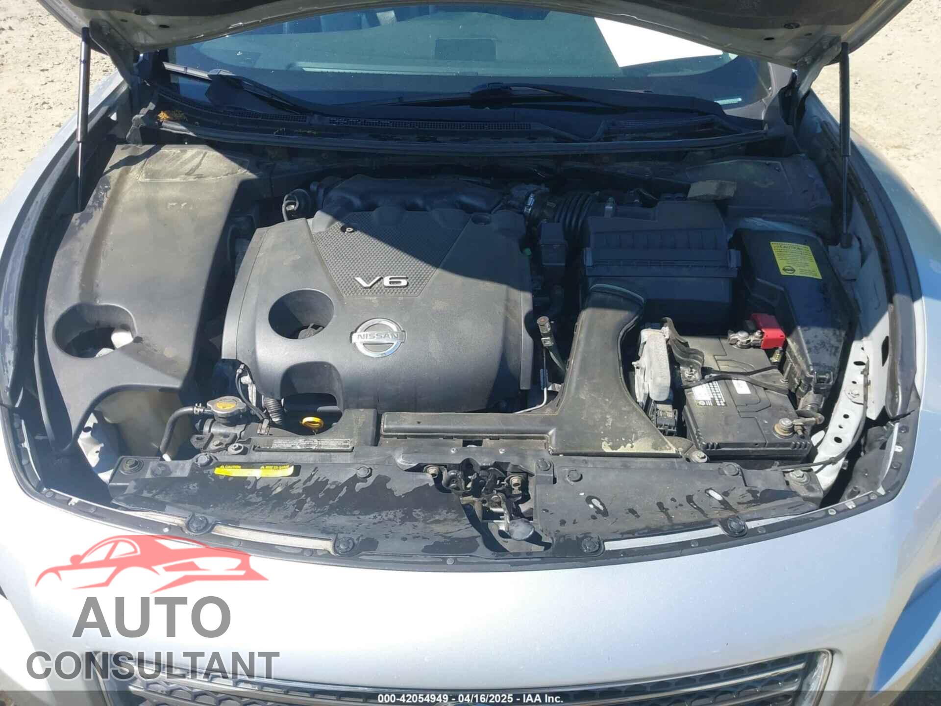 NISSAN MAXIMA 2009 - 1N4AA51E19C818363
