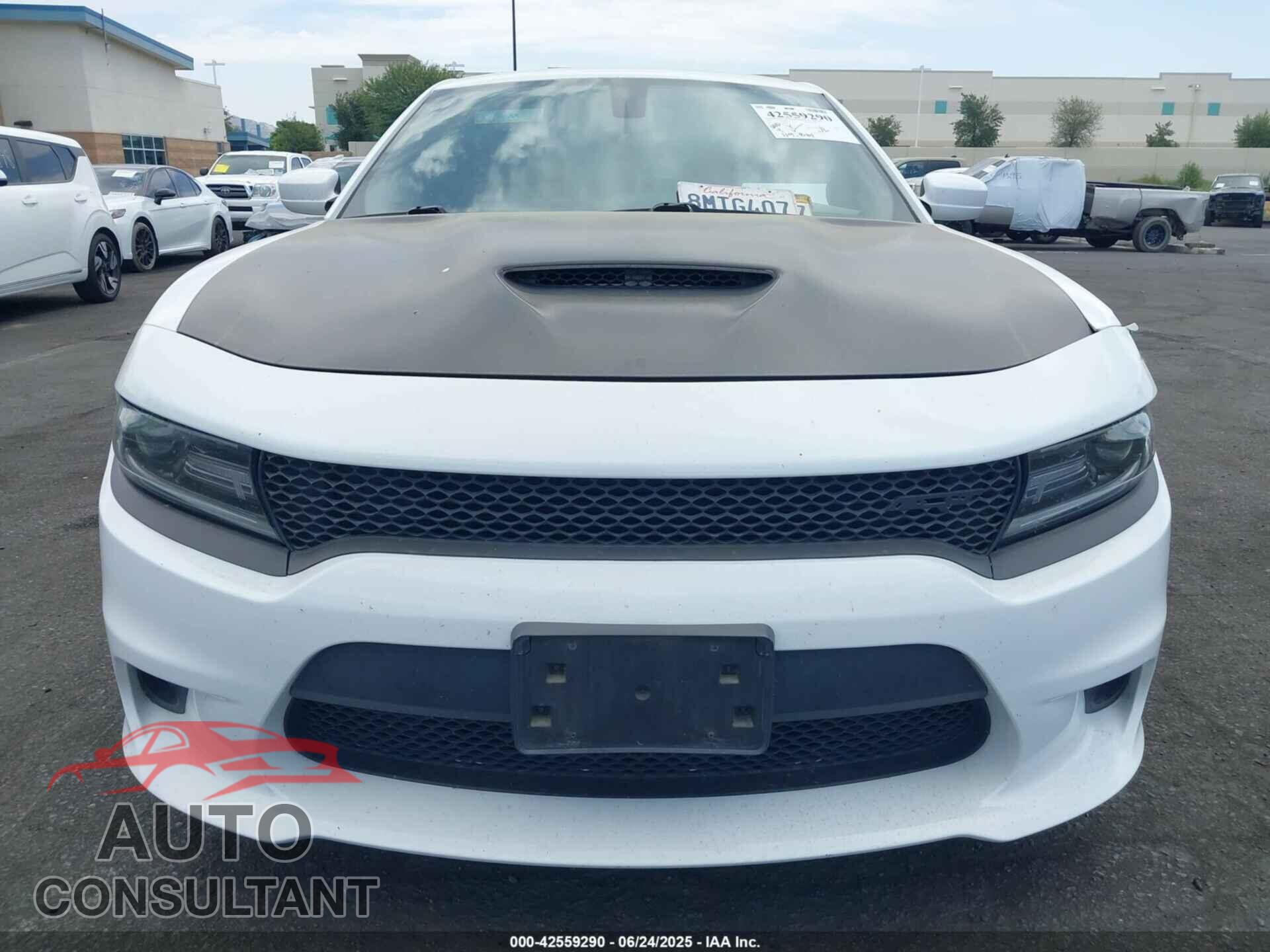 DODGE CHARGER 2019 - 2C3CDXHG8KH673732
