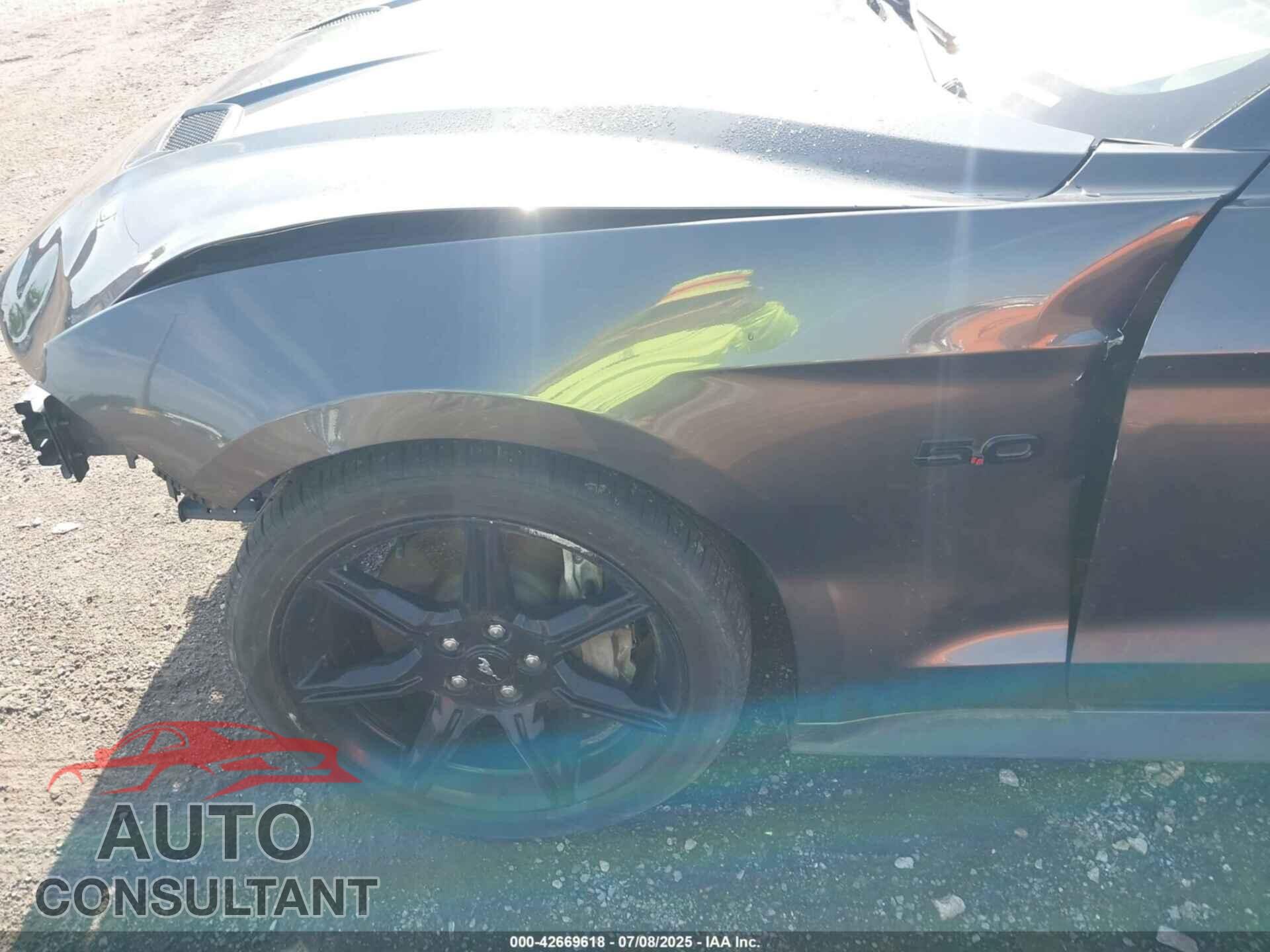 FORD MUSTANG 2019 - 1FA6P8CF3K5204114