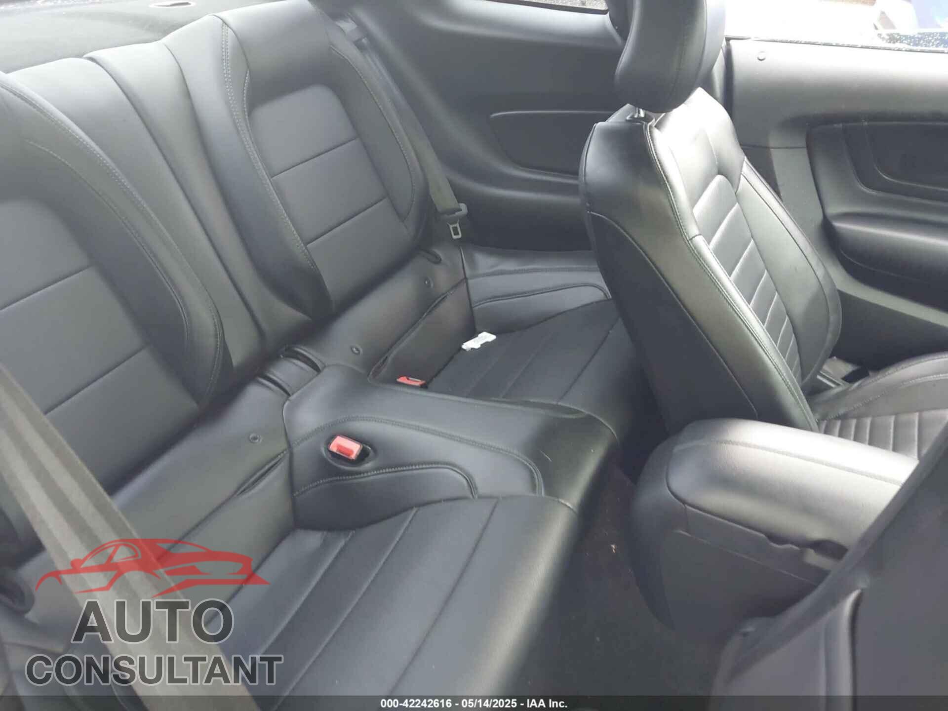 FORD MUSTANG 2019 - 1FA6P8K02K5500707