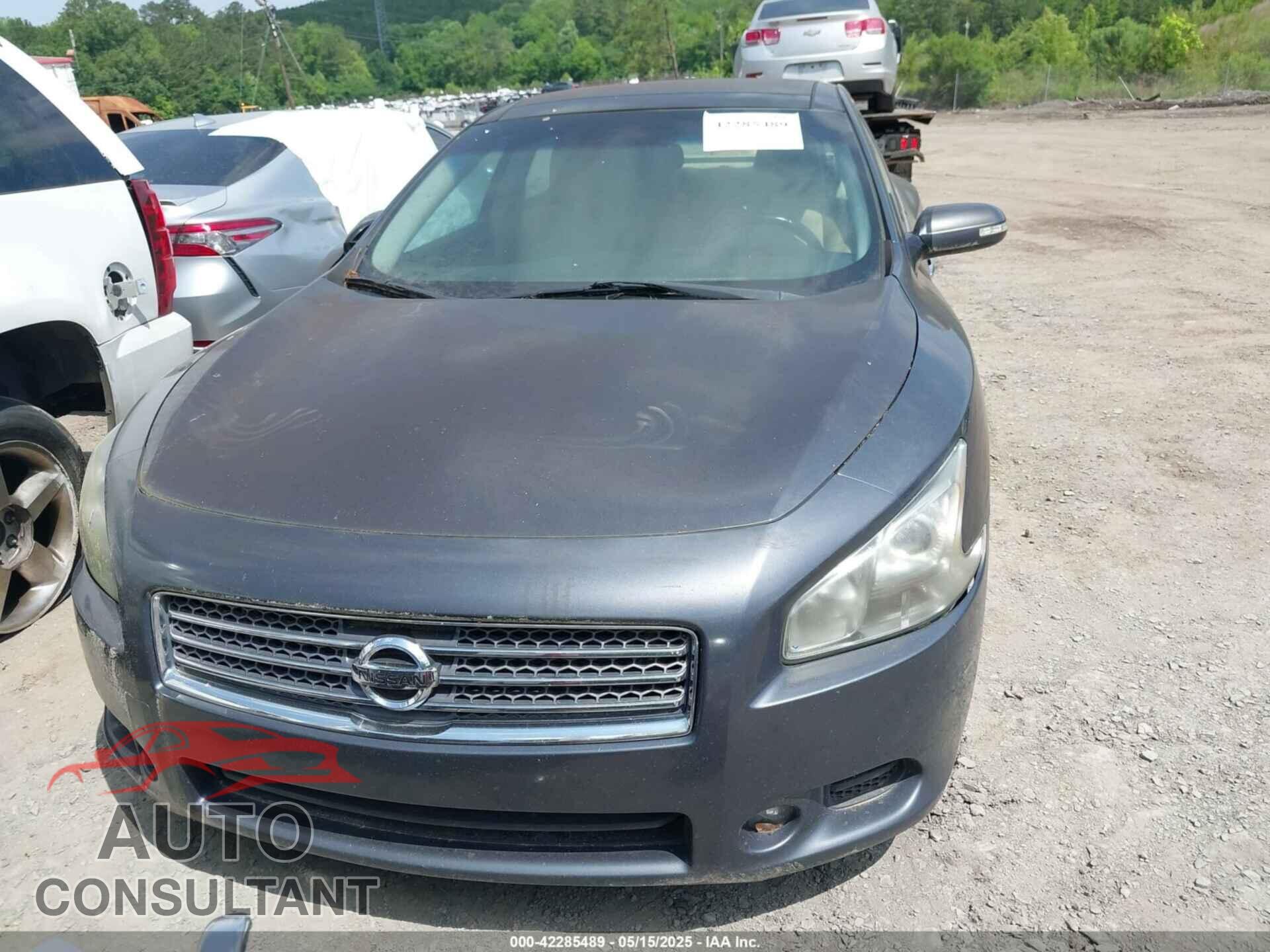 NISSAN MAXIMA 2011 - 1N4AA5AP7BC842609