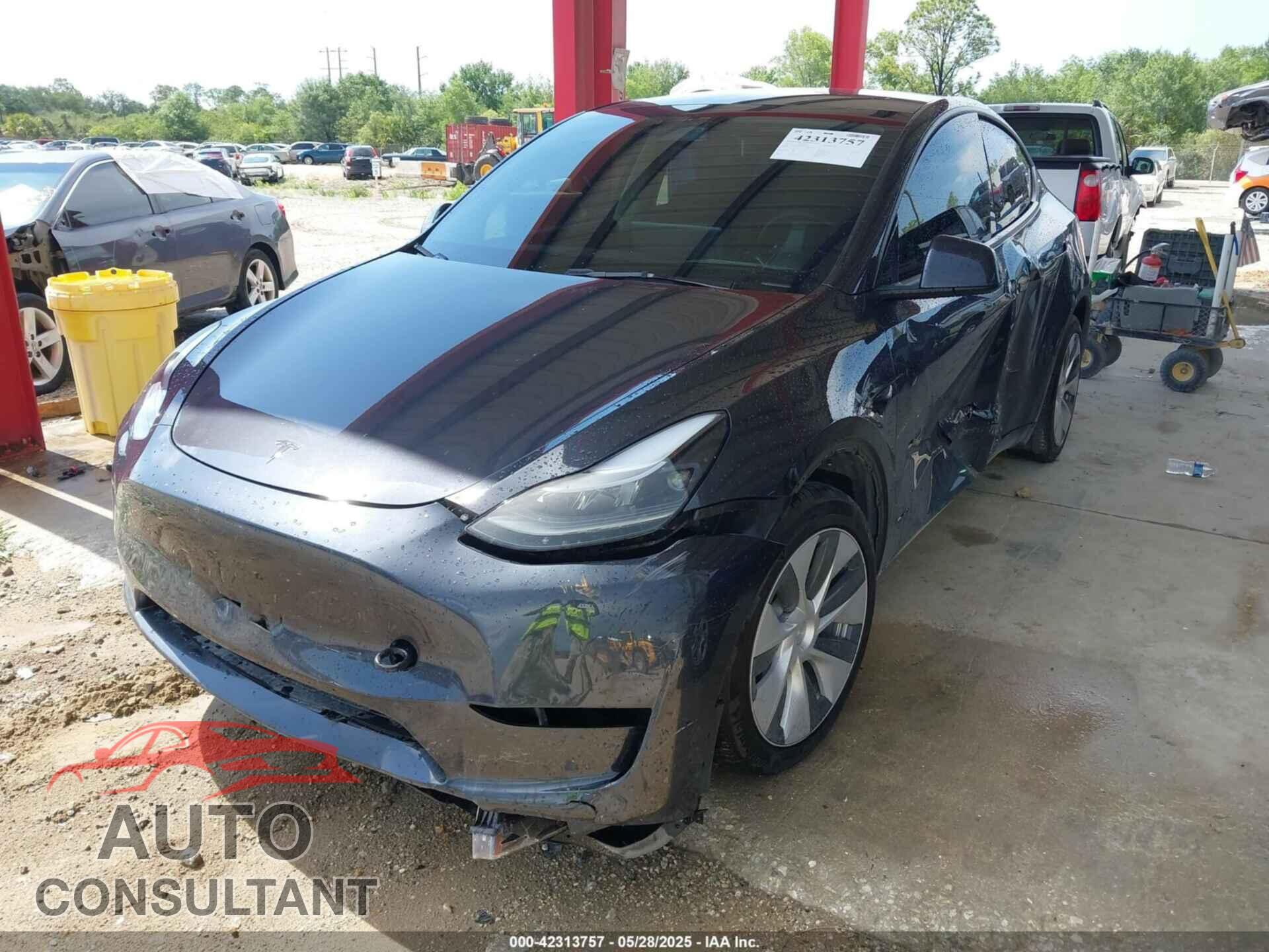 TESLA MODEL Y 2024 - 7SAYGDED6RF054342