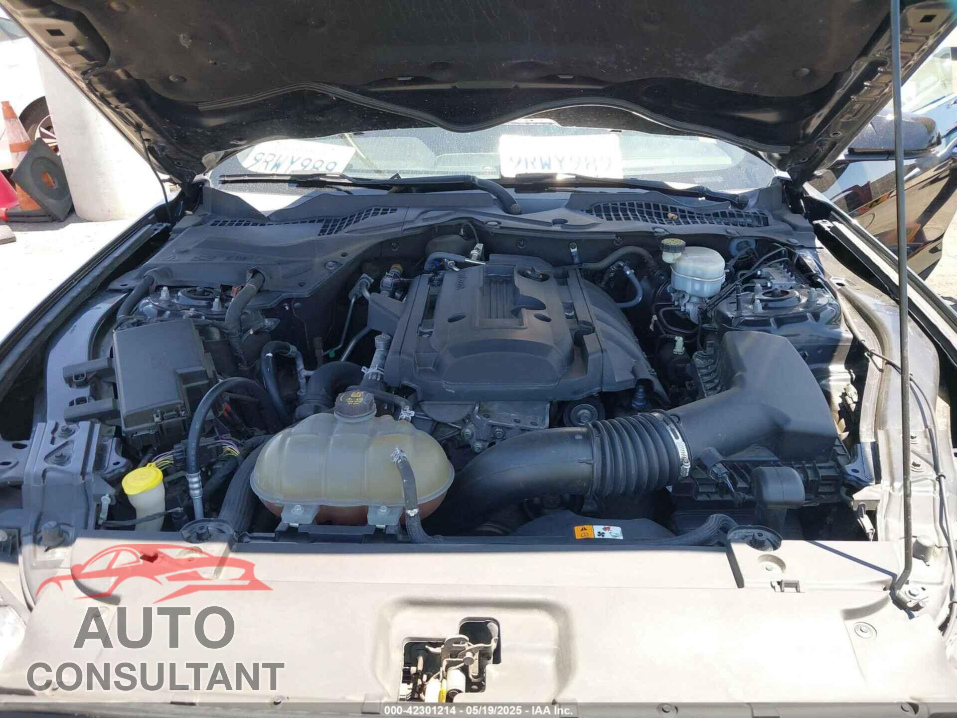 FORD MUSTANG 2017 - 1FA6P8TH7H5310012