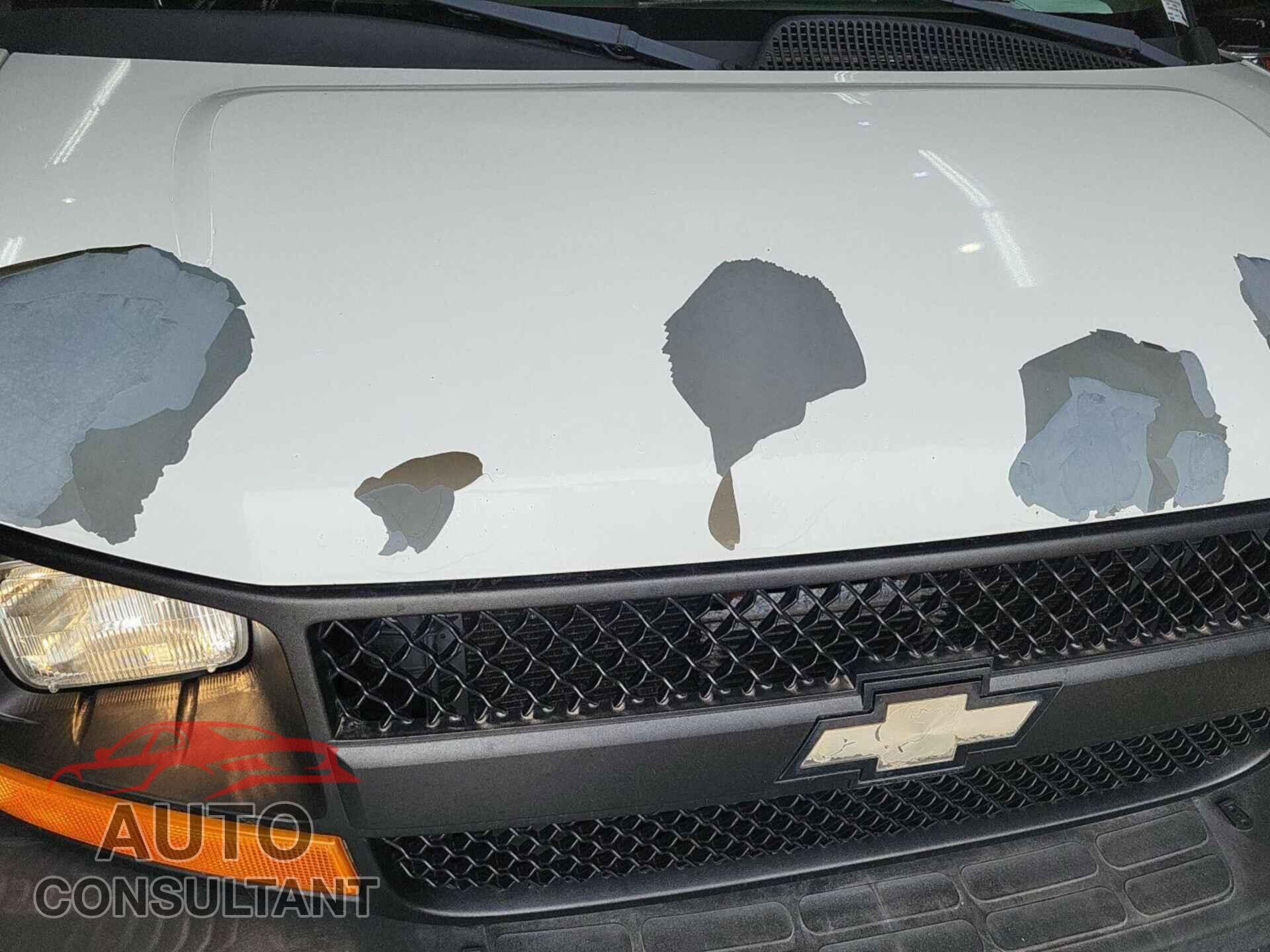 CHEVROLET EXPRESS G2500 2010 - 1GCZGFBA1A1167247