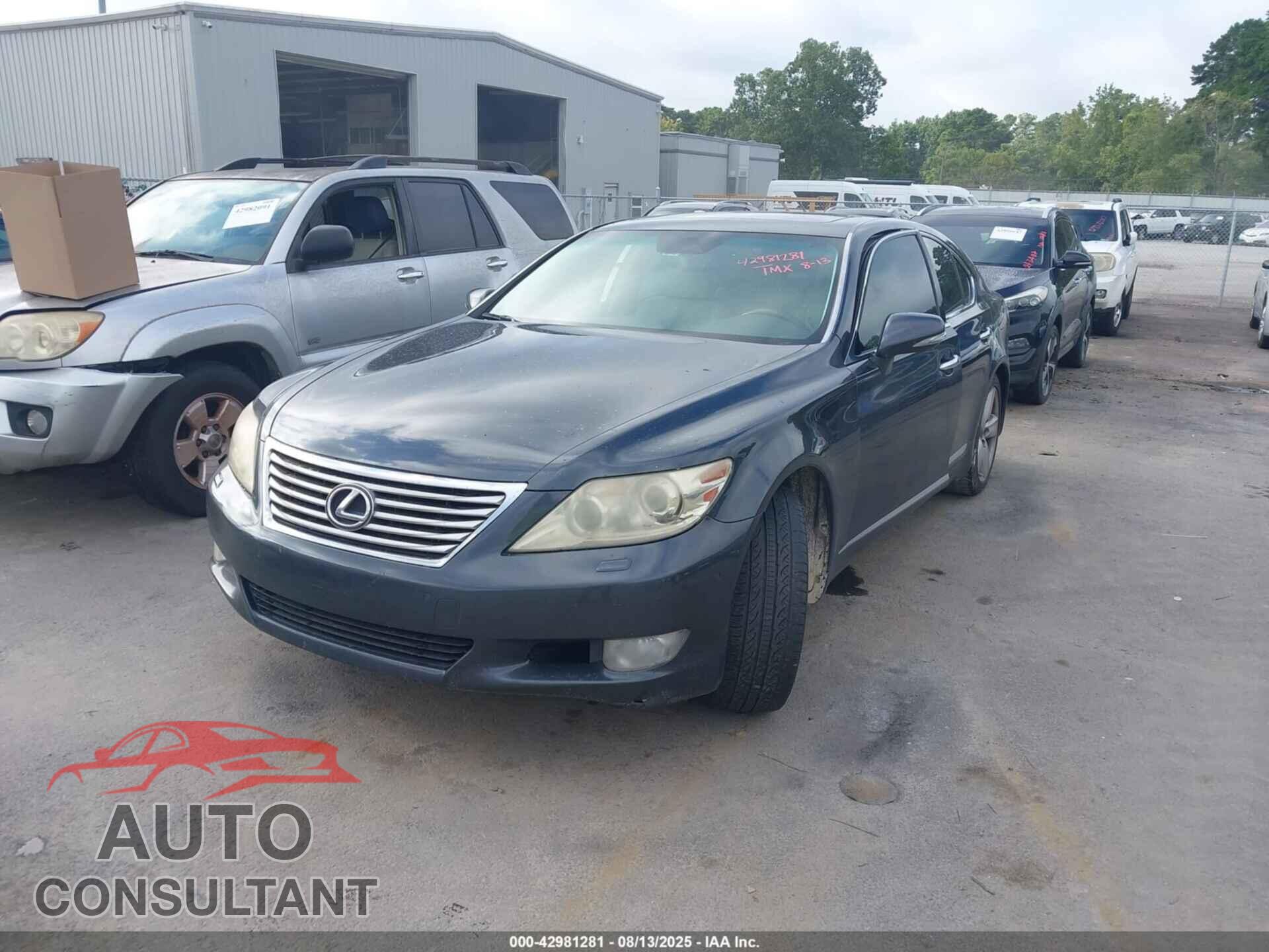 LEXUS LS 460 2011 - JTHBL5EF7B5102278