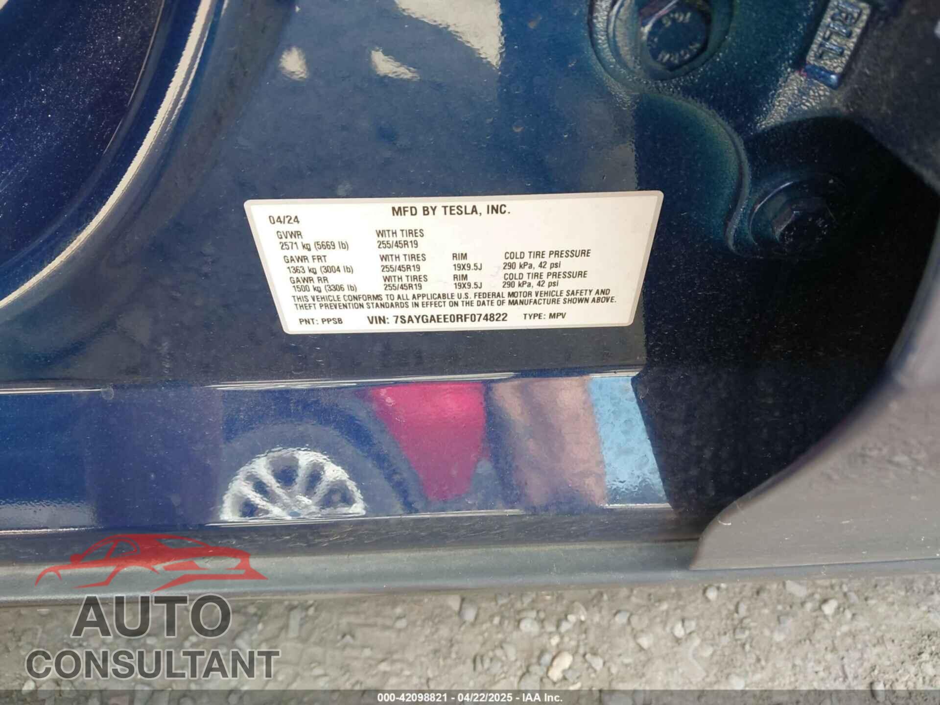 TESLA MODEL Y 2024 - 7SAYGAEE0RF074822