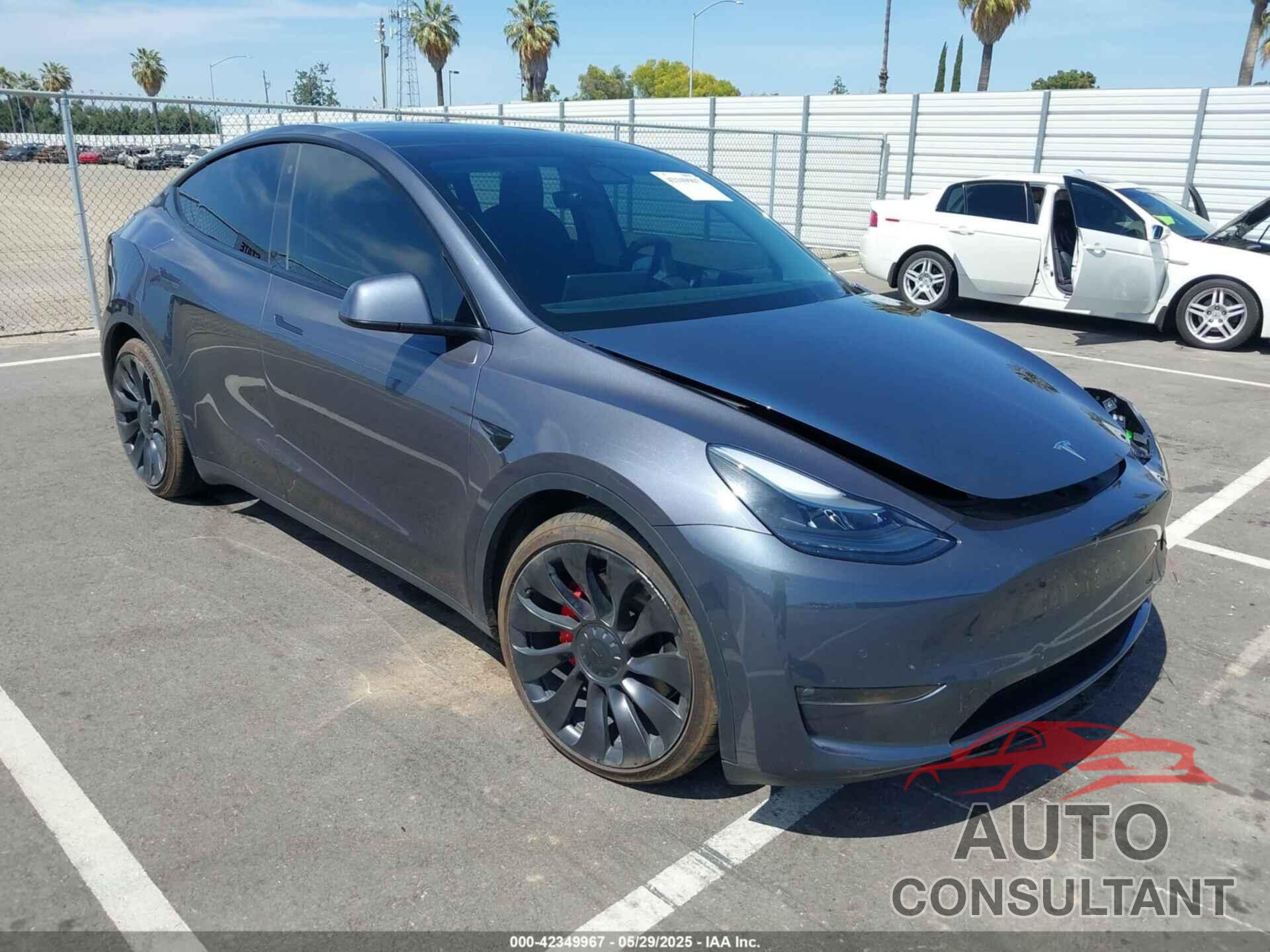 TESLA MODEL Y 2022 - 7SAYGDEF3NF390557