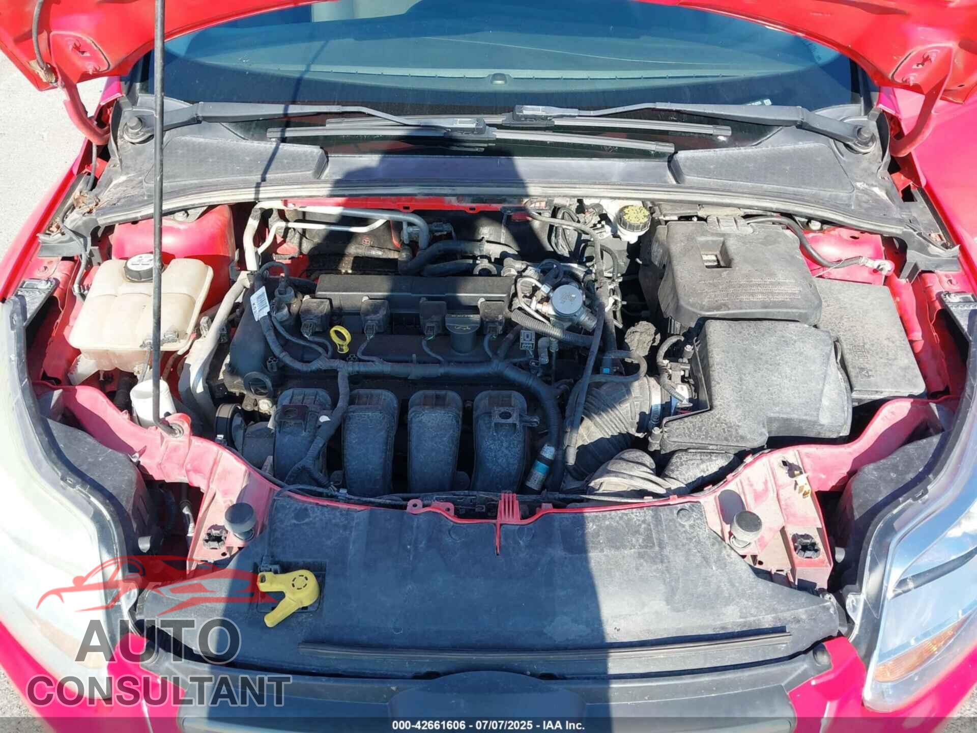 FORD FOCUS 2012 - 1FAHP3F25CL324255