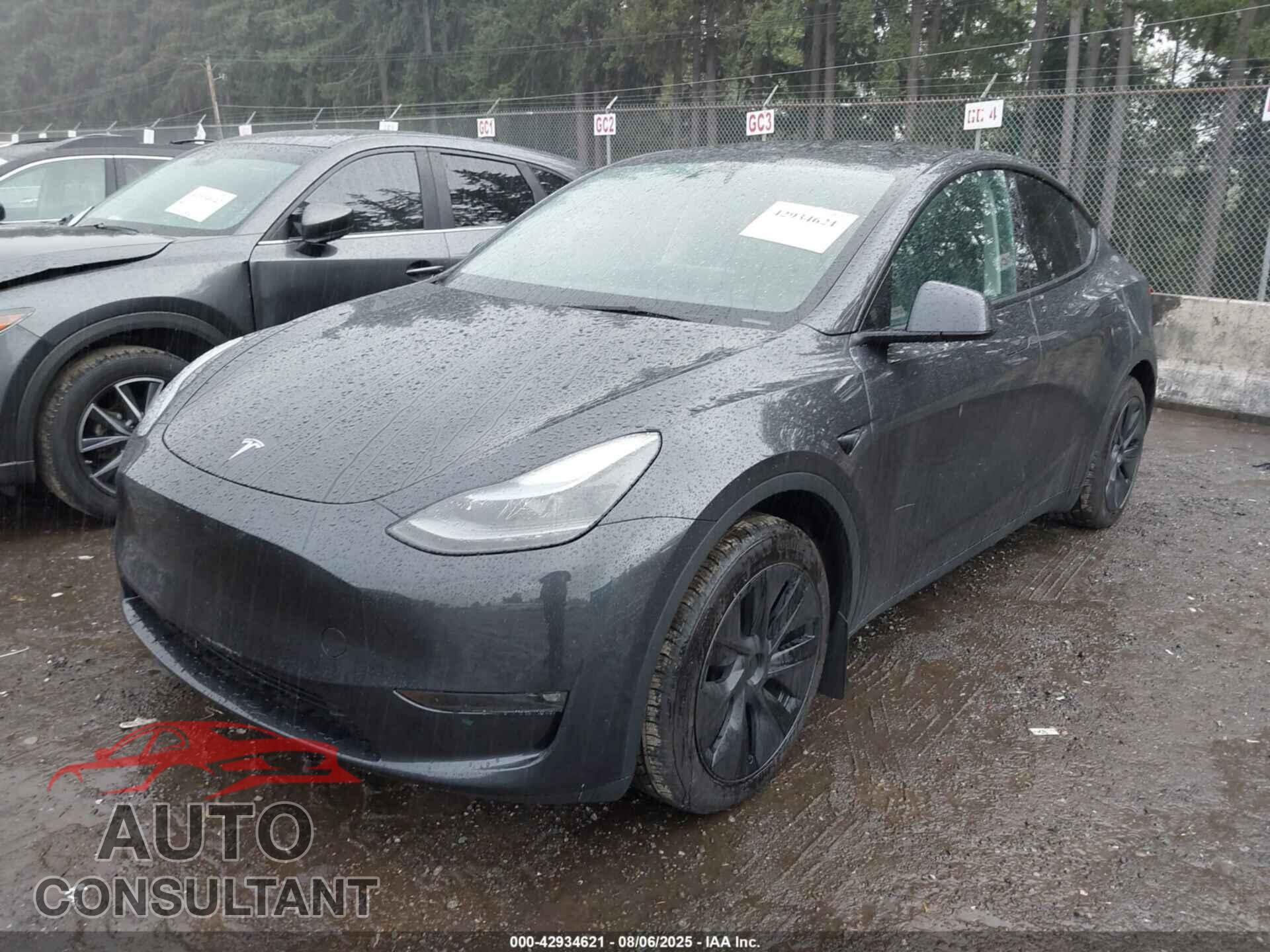 TESLA MODEL Y 2025 - 7SAYGAEE8SF305066