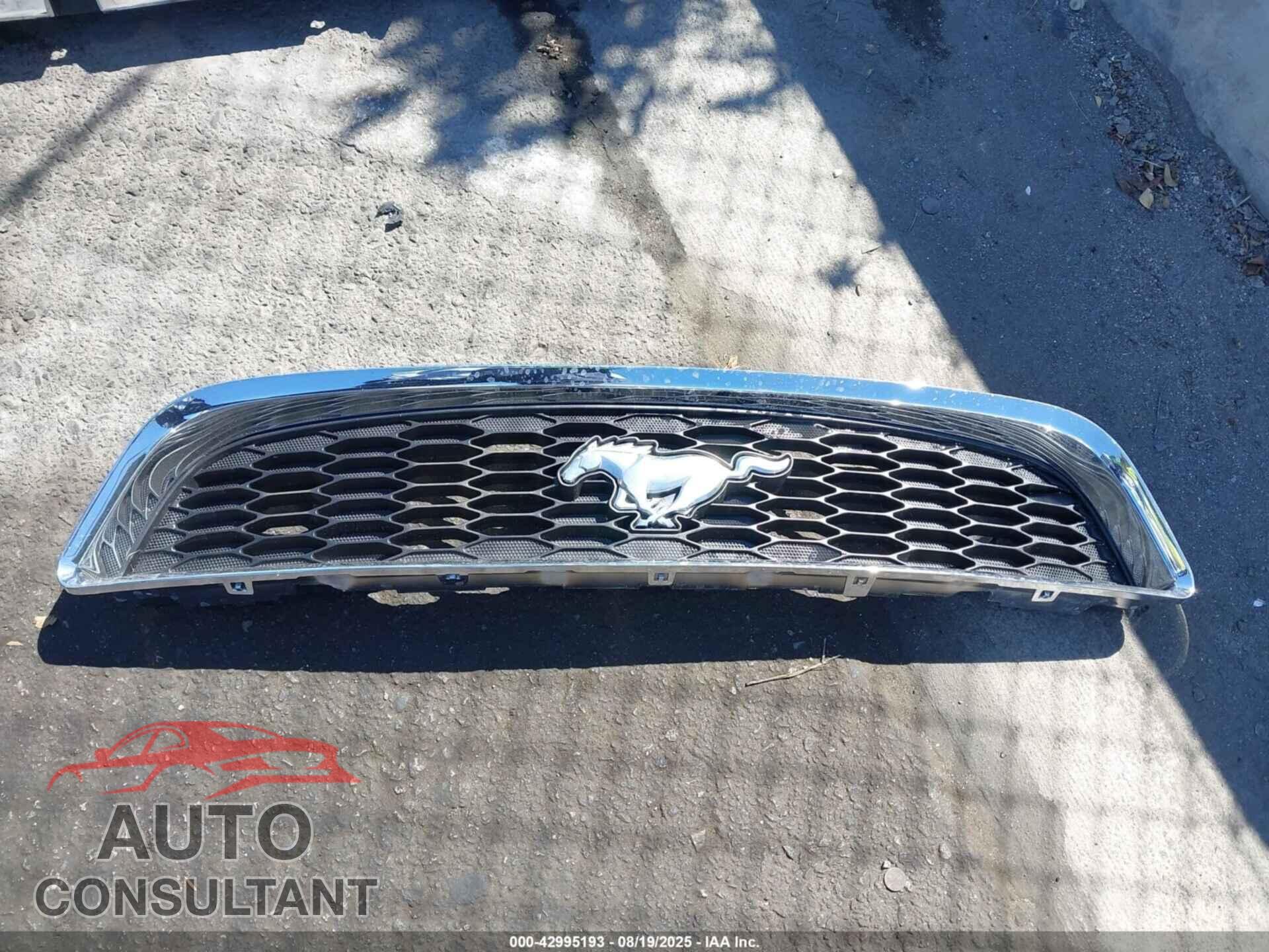 FORD MUSTANG 2013 - 1ZVBP8AMXD5253630
