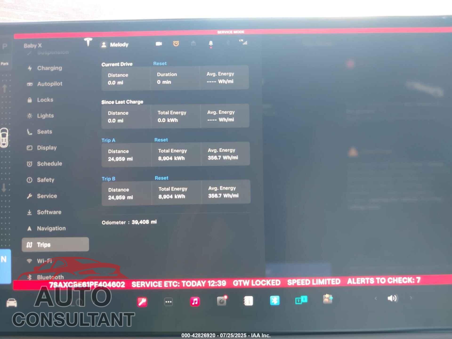 TESLA MODEL X 2023 - 7SAXCBE61PF404602