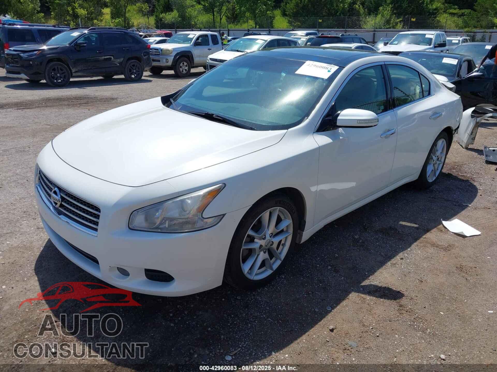 NISSAN MAXIMA 2009 - 1N4AA51E49C818793