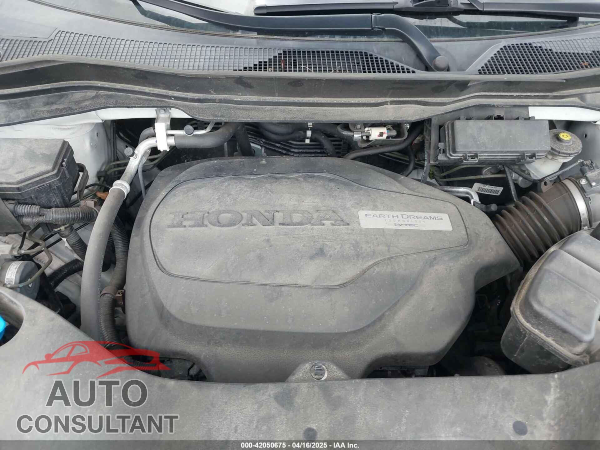 HONDA RIDGELINE 2019 - 5FPYK3F1XKB011839