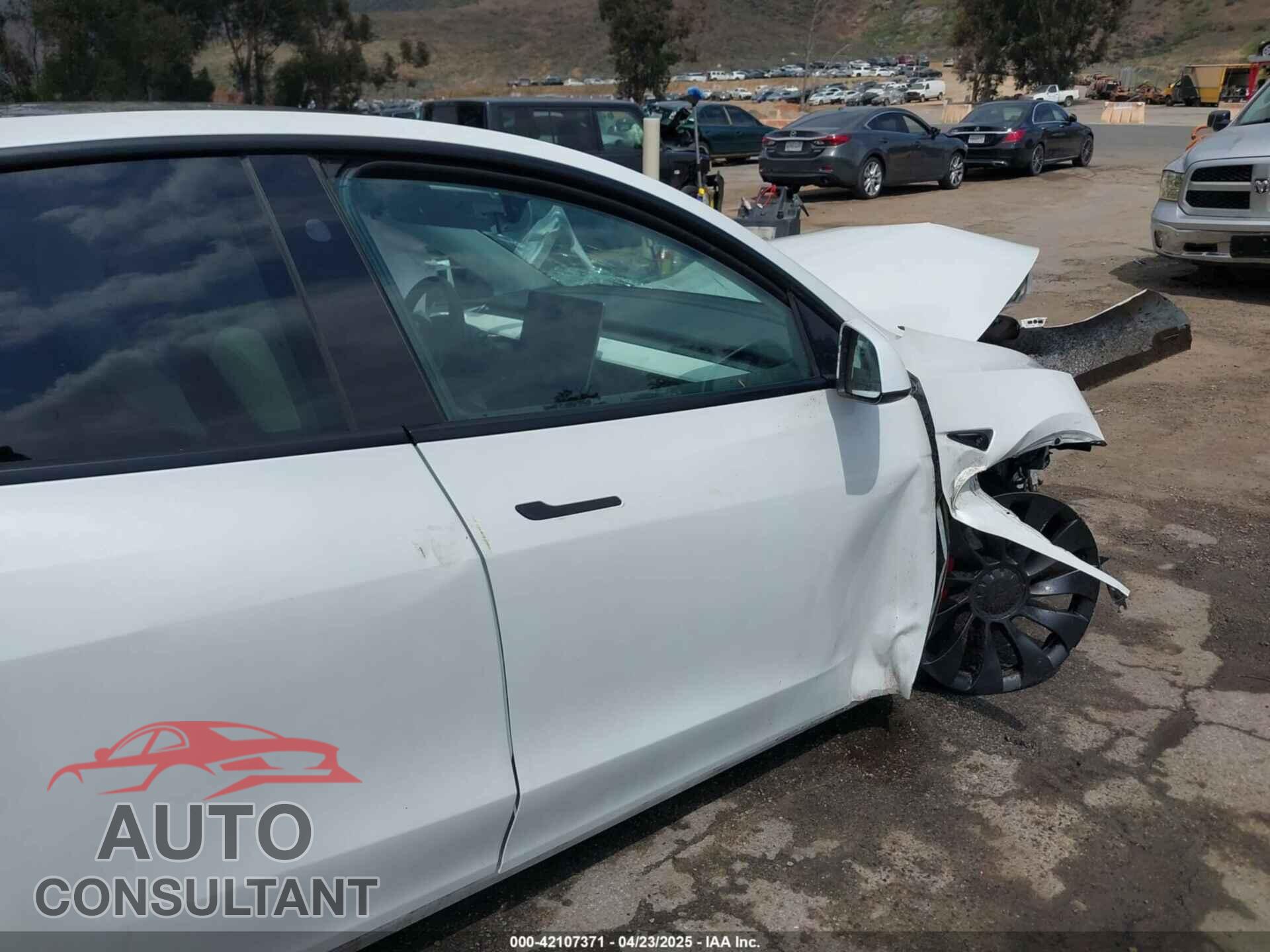 TESLA MODEL Y 2023 - 7SAYGDEFXPF809250