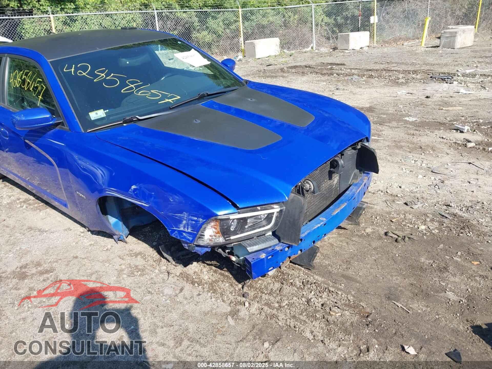 DODGE CHARGER 2013 - 2C3CDXCT0DH642434