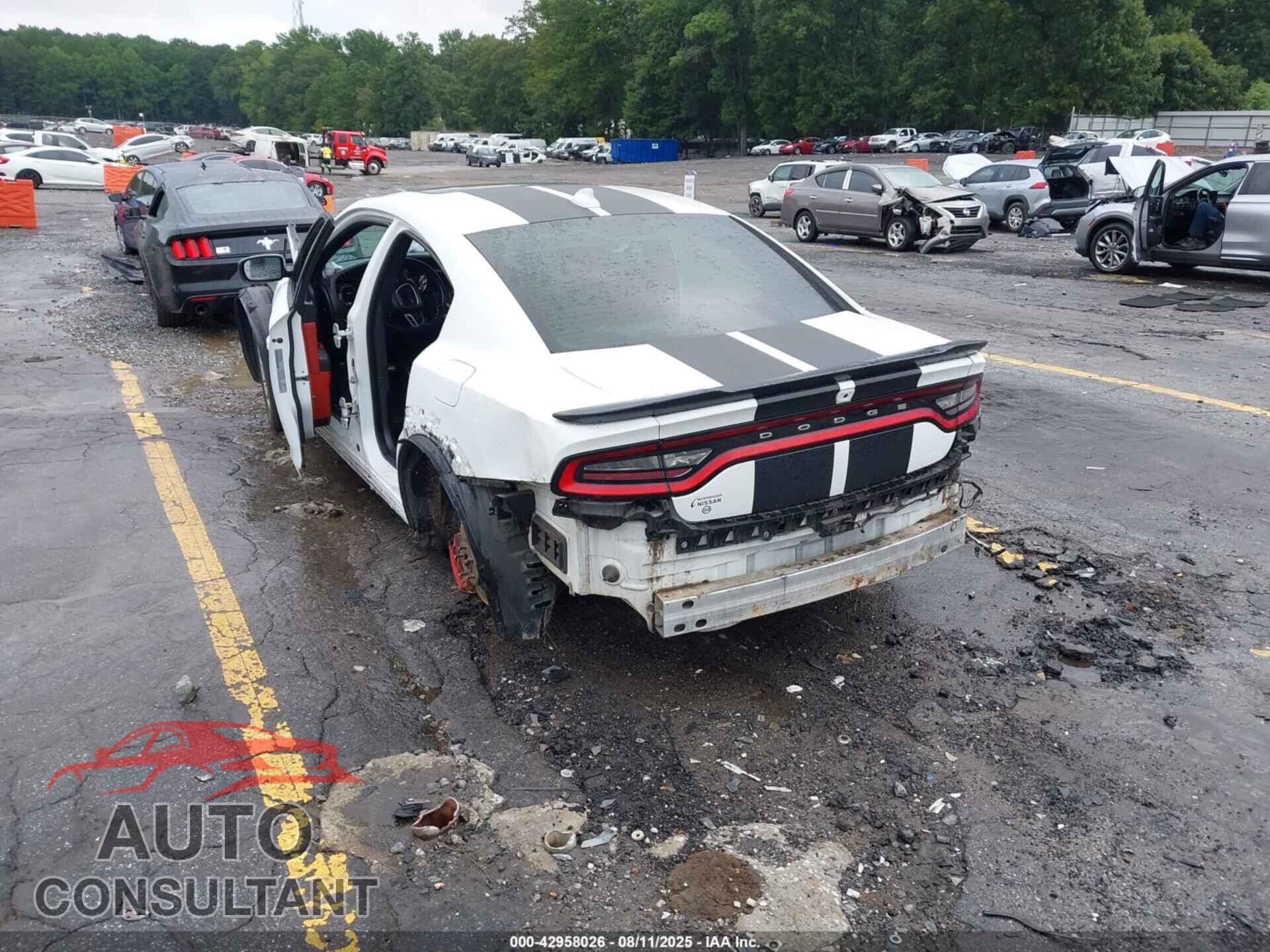 DODGE CHARGER 2021 - 2C3CDXGJ7MH590504