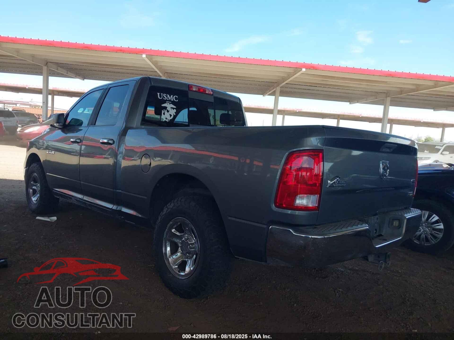 DODGE RAM 1500 2010 - 1D7RB1GP0AS148154
