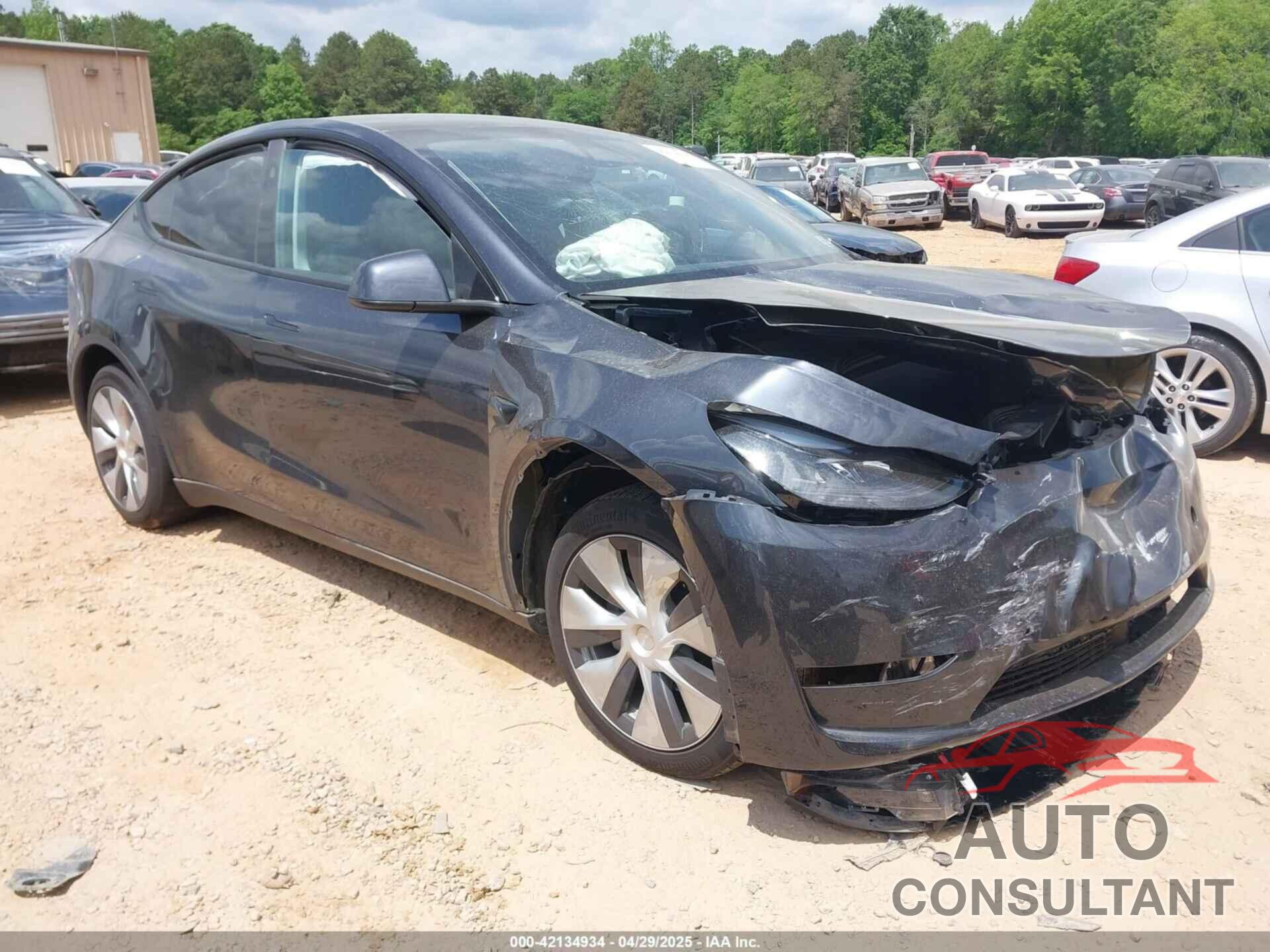 TESLA MODEL Y 2024 - 7SAYGDEE8RF988950
