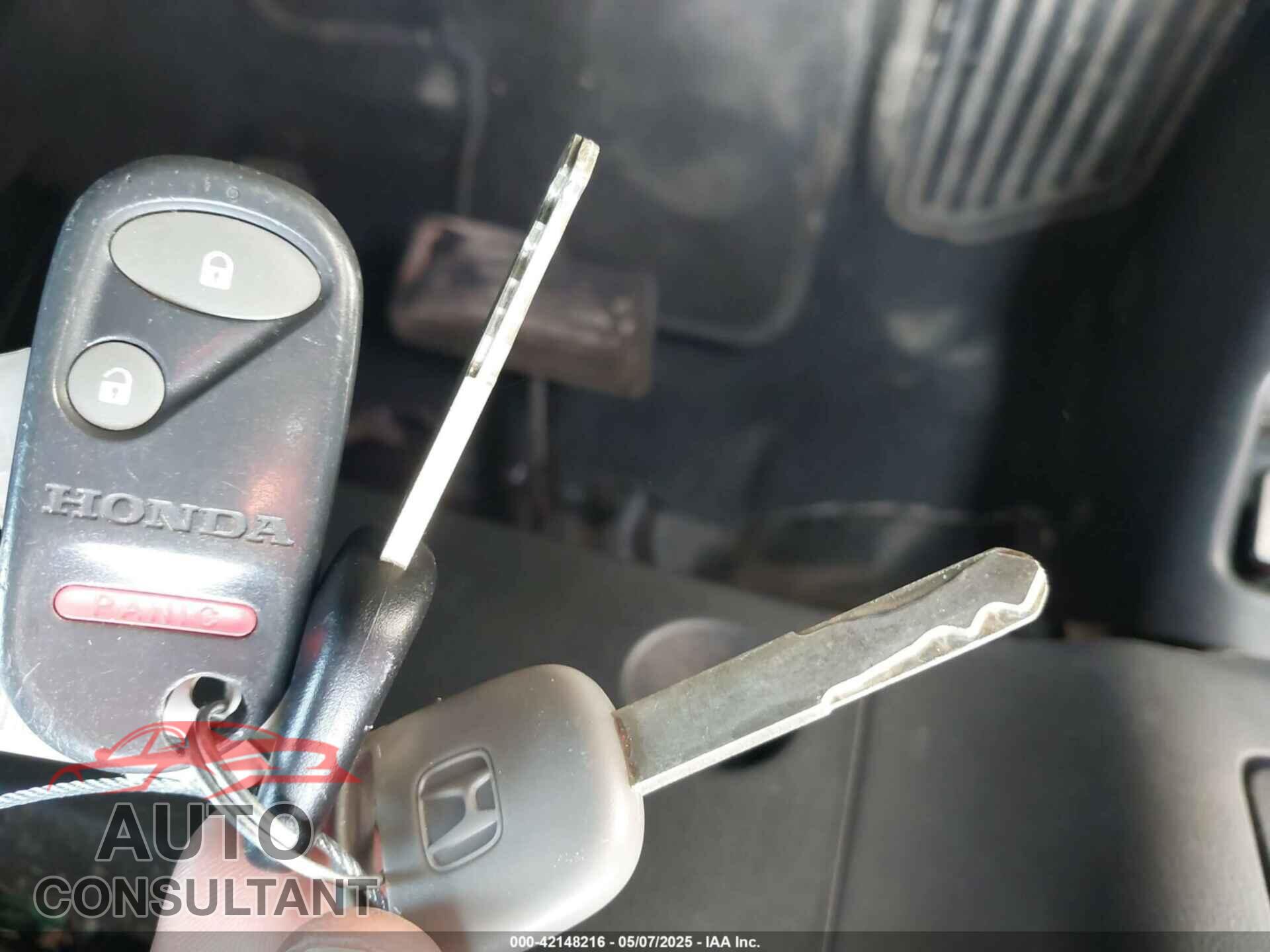 HONDA ELEMENT 2009 - 5J6YH189X9L001196