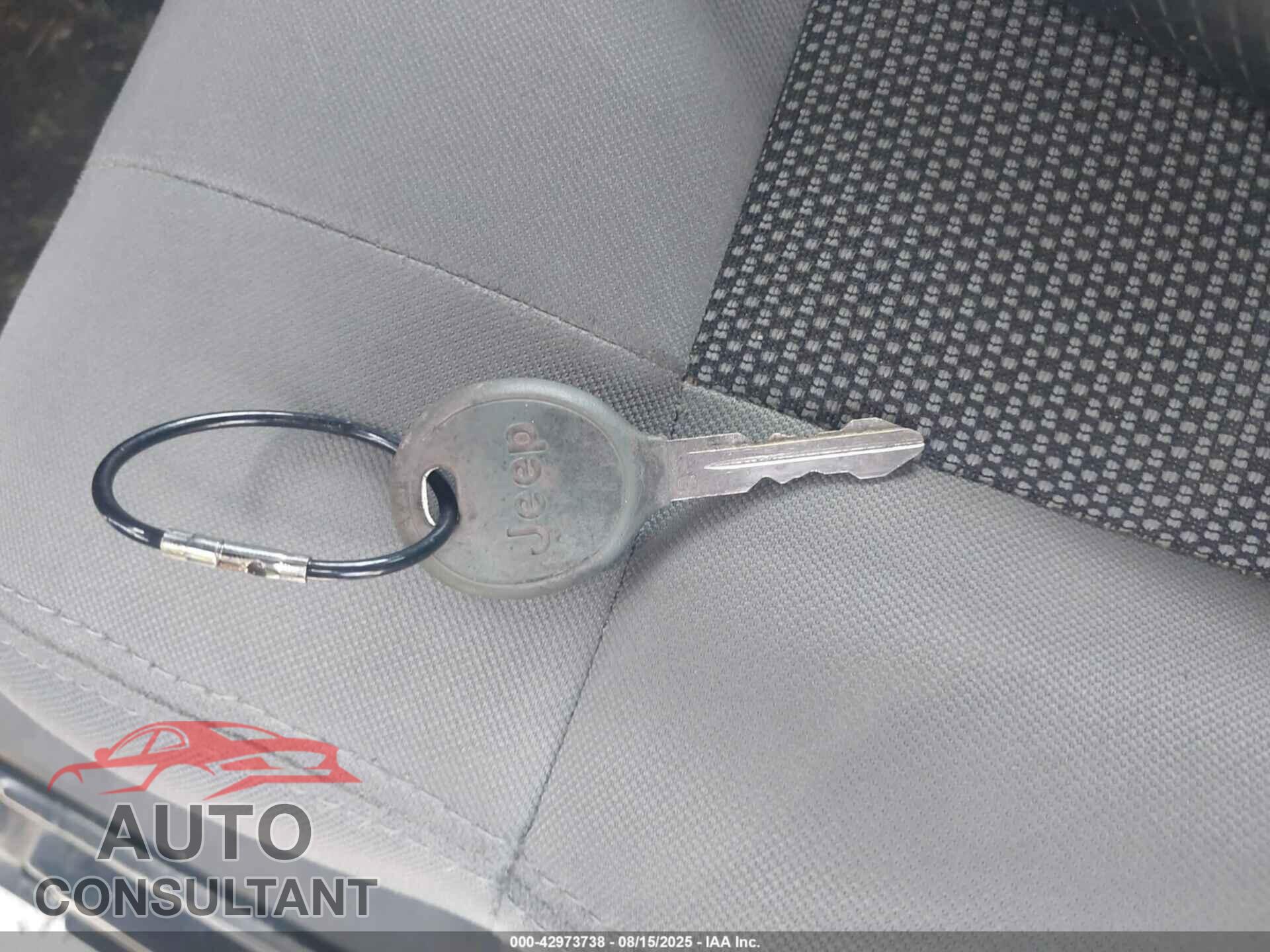 JEEP WRANGLER 2010 - 1J4AA2D17AL105600