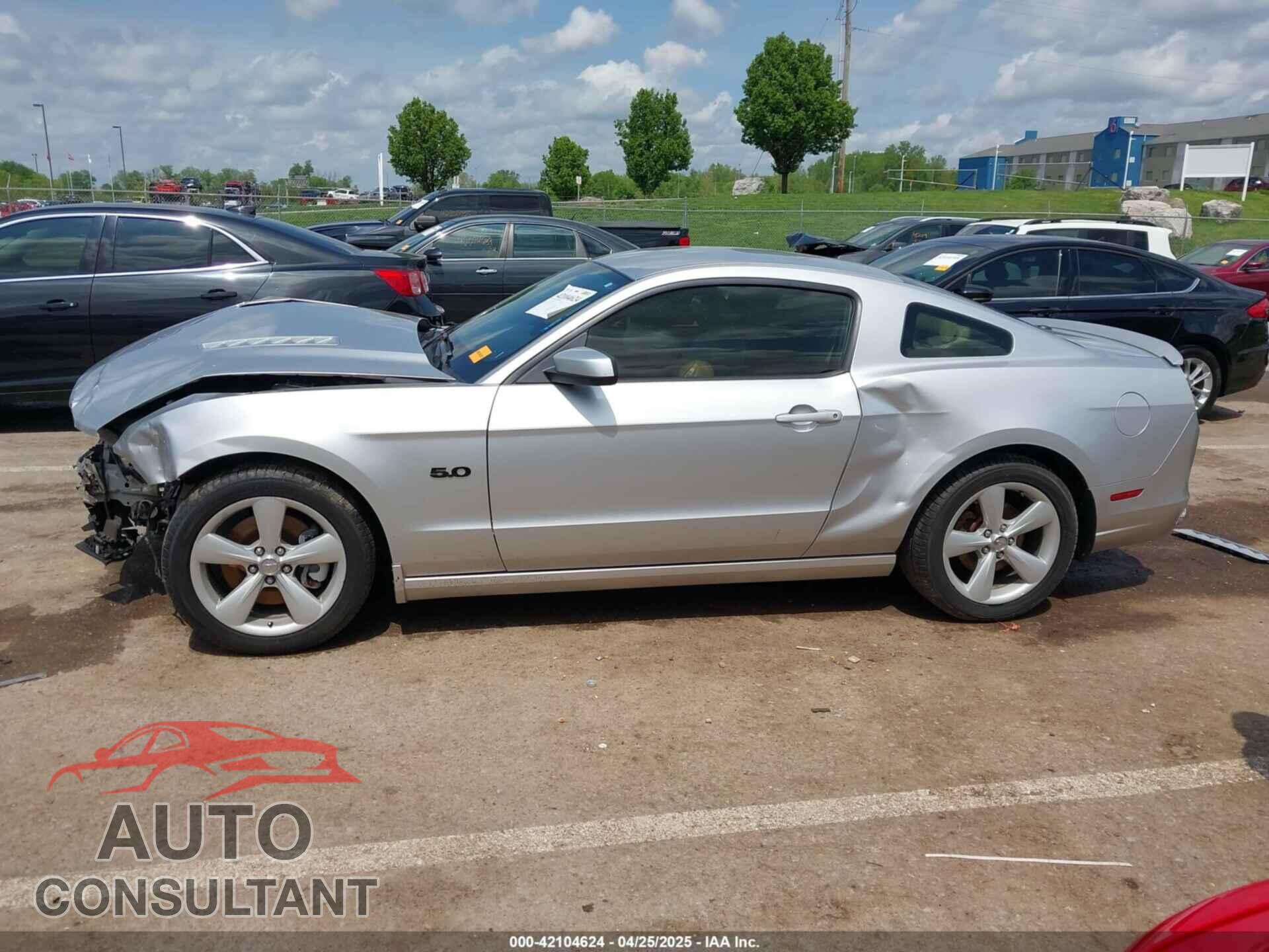 FORD MUSTANG 2014 - 1ZVBP8CFXE5203228