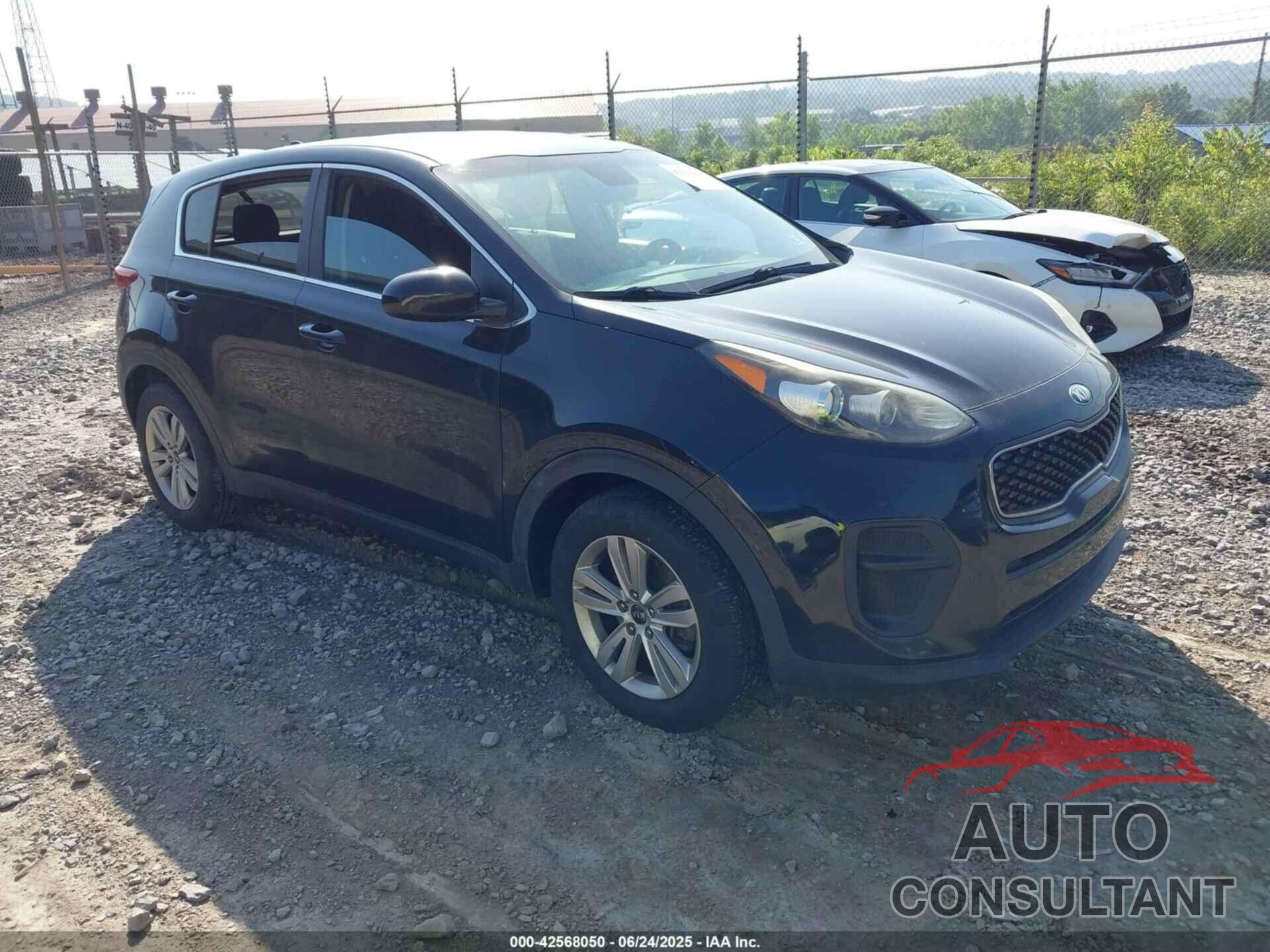 KIA SPORTAGE 2017 - KNDPM3ACXH7240835