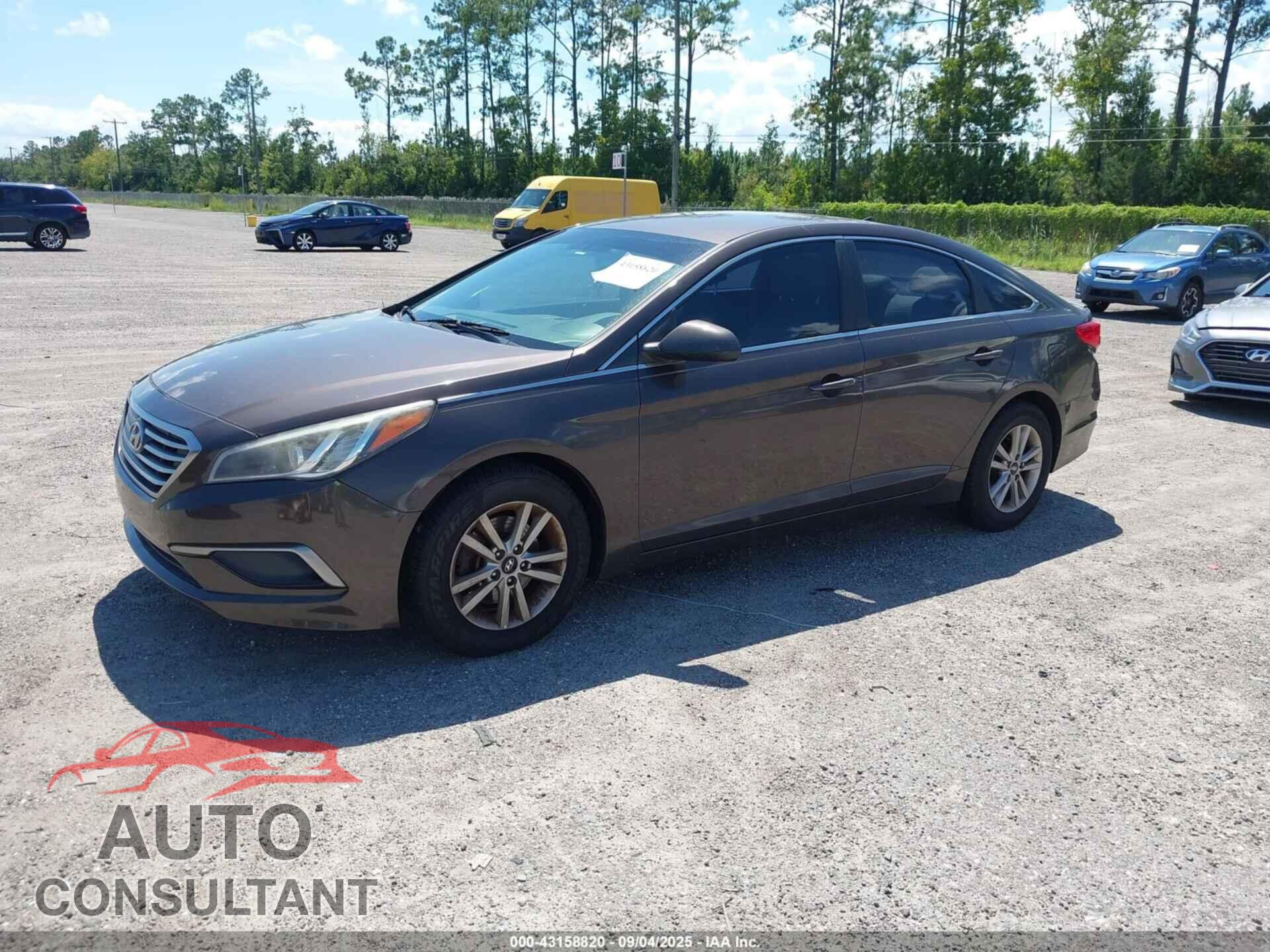 HYUNDAI SONATA 2016 - 5NPE24AF2GH353539