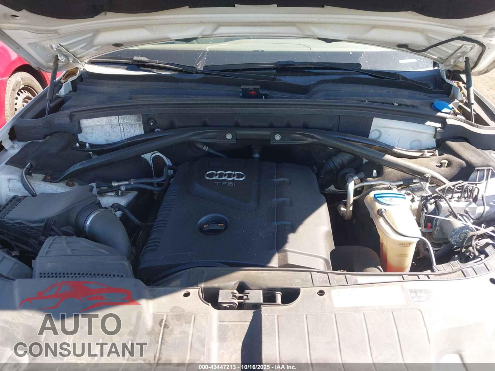 AUDI Q5 2013 - WA1CFAFP2DA026261
