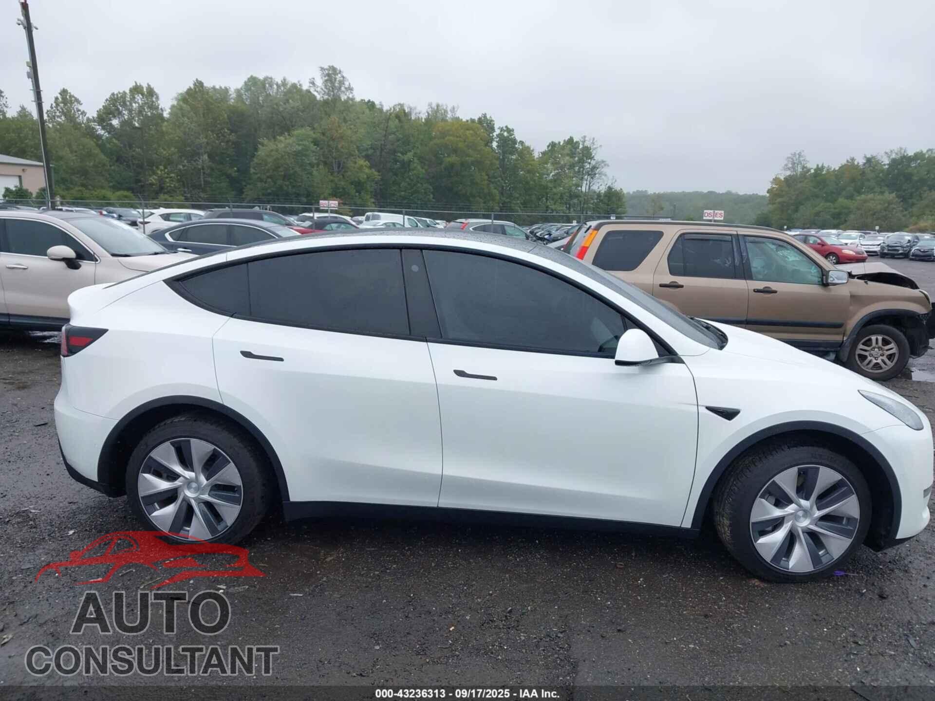 TESLA MODEL Y 2021 - 5YJYGDEE3MF158317