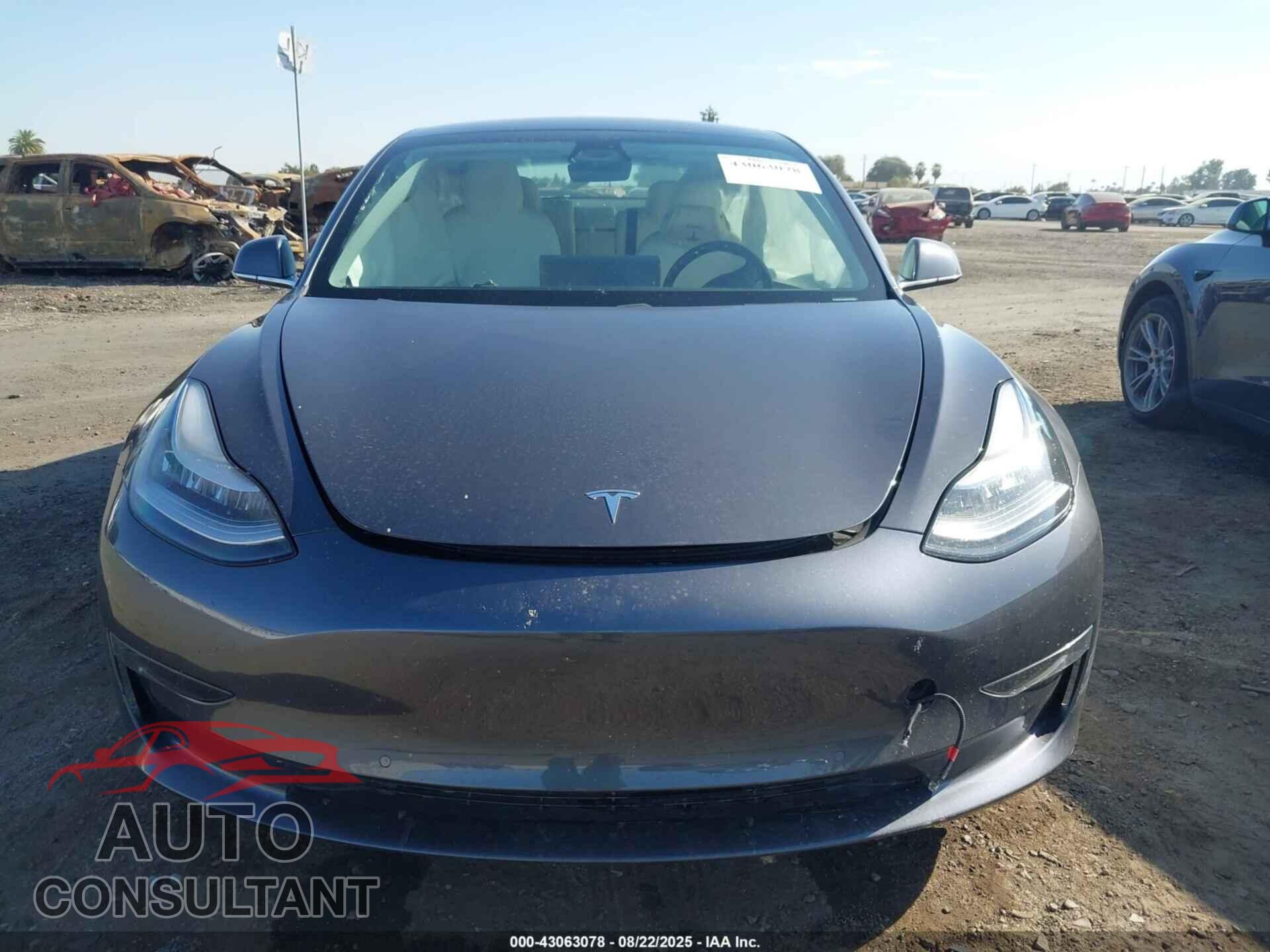 TESLA MODEL 3 2019 - 5YJ3E1EB6KF195542