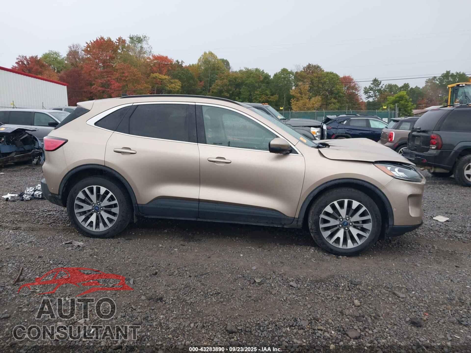 FORD ESCAPE 2020 - 1FMCU9J94LUA59967