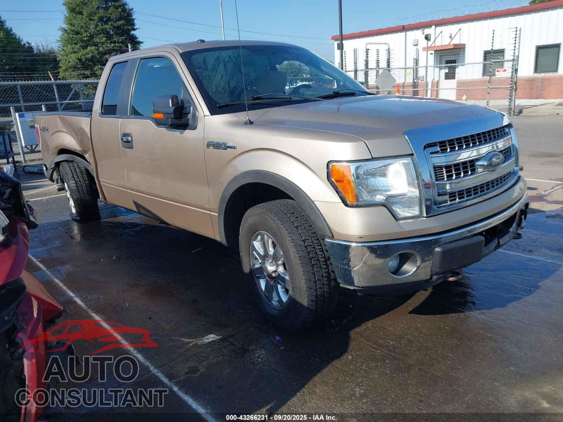 FORD F-150 2013 - 1FTFX1EF5DFC68263