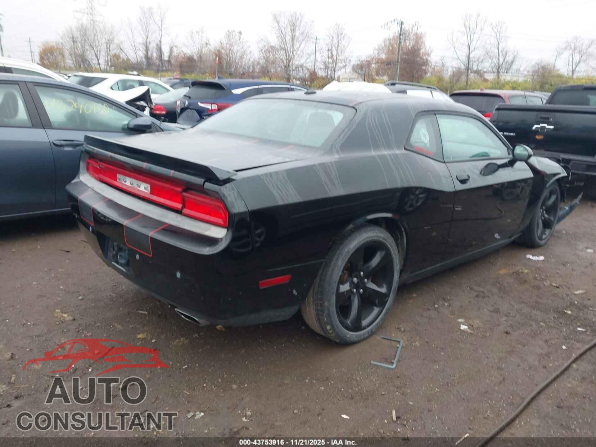 DODGE CHALLENGER 2013 - 2C3CDYBT0DH716507