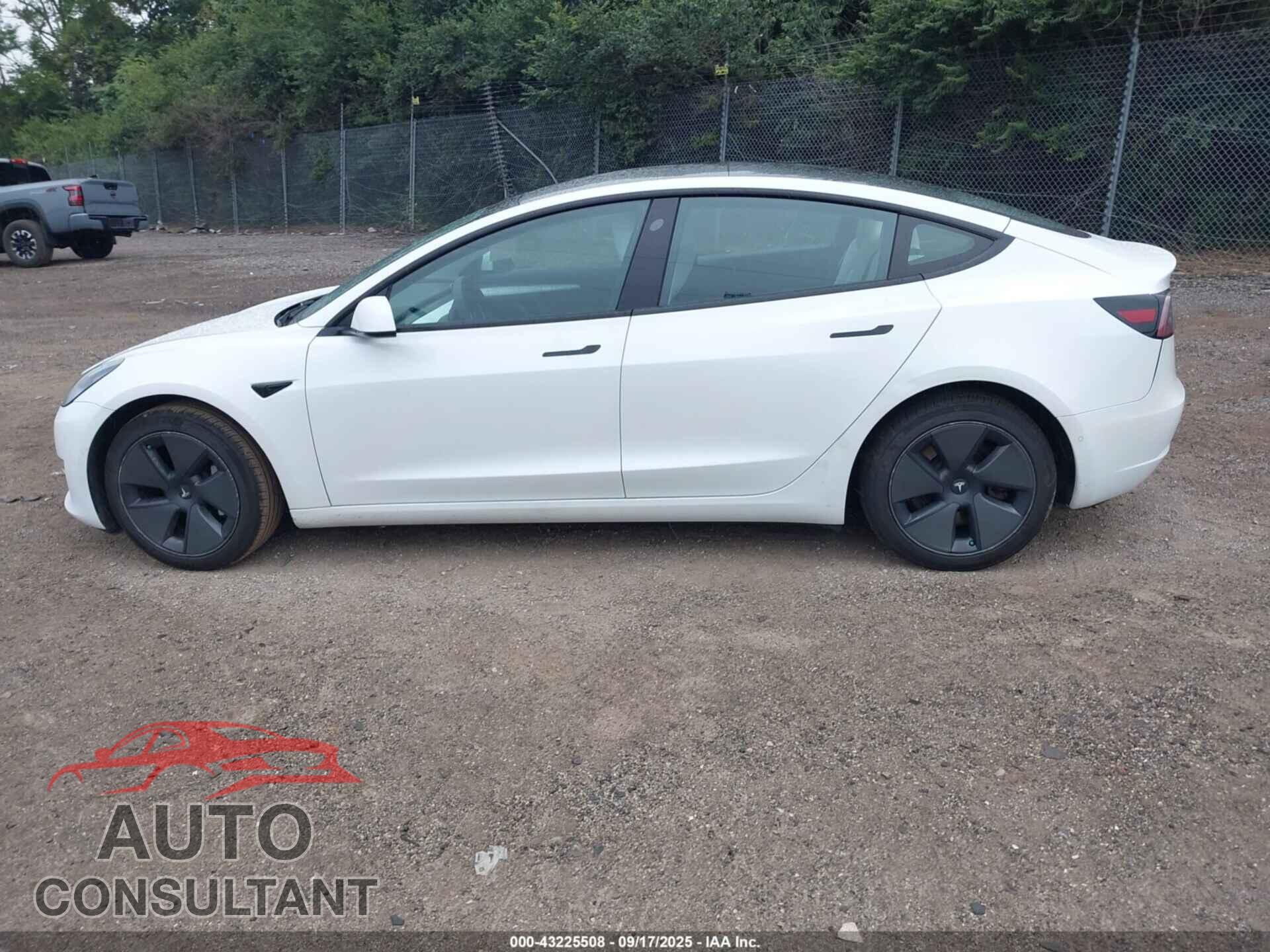 TESLA MODEL 3 2021 - 5YJ3E1EA2MF989576