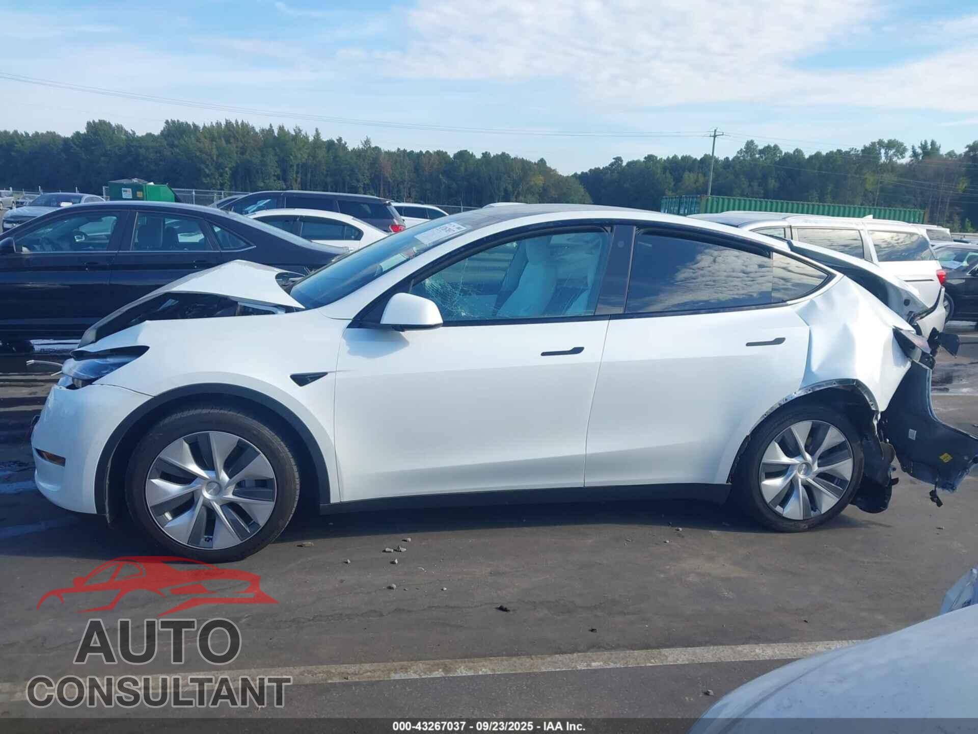 TESLA MODEL Y 2022 - 7SAYGDEEXNF418006