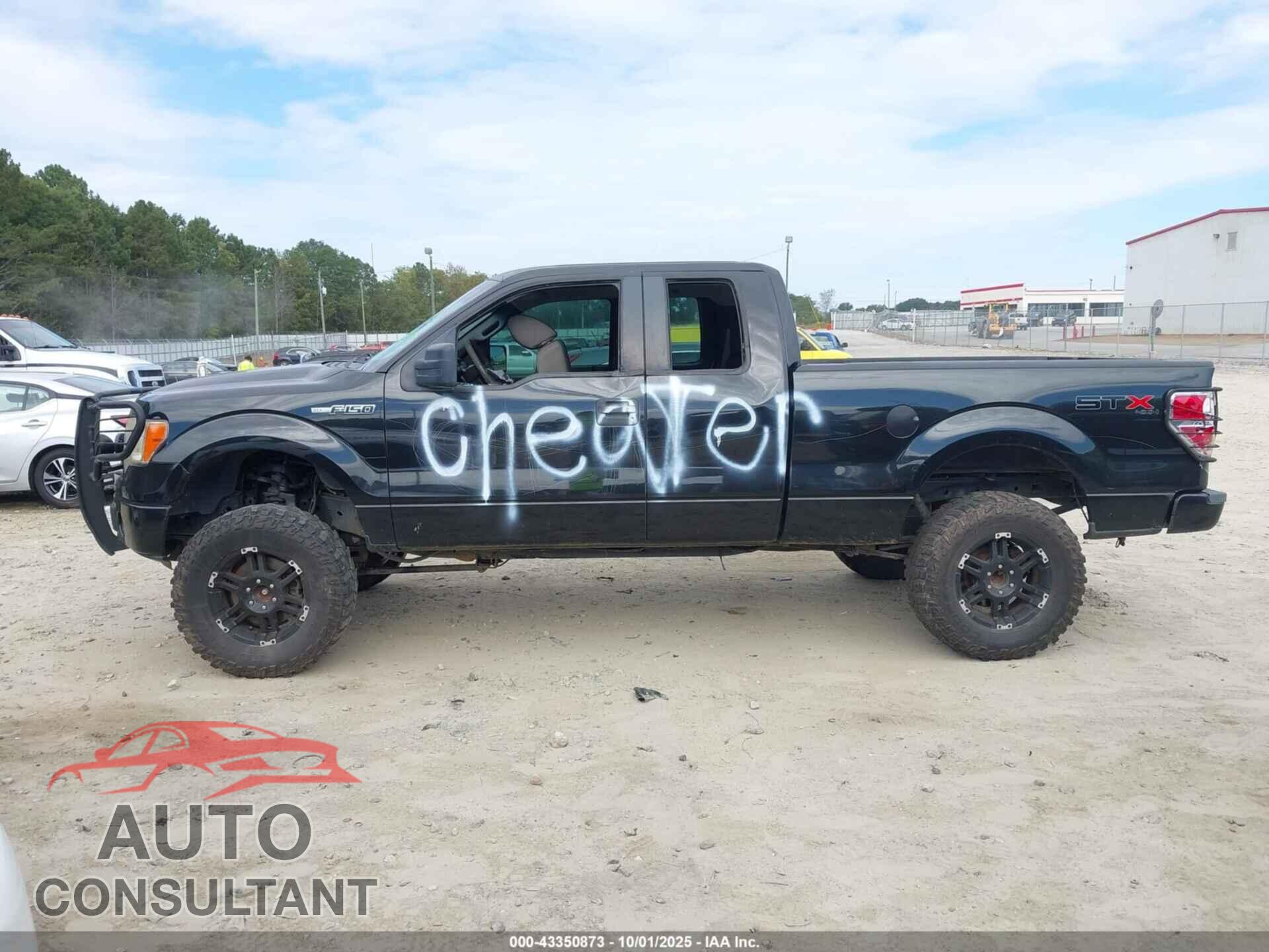 FORD F-150 2010 - 1FTEX1EW7AFA75331
