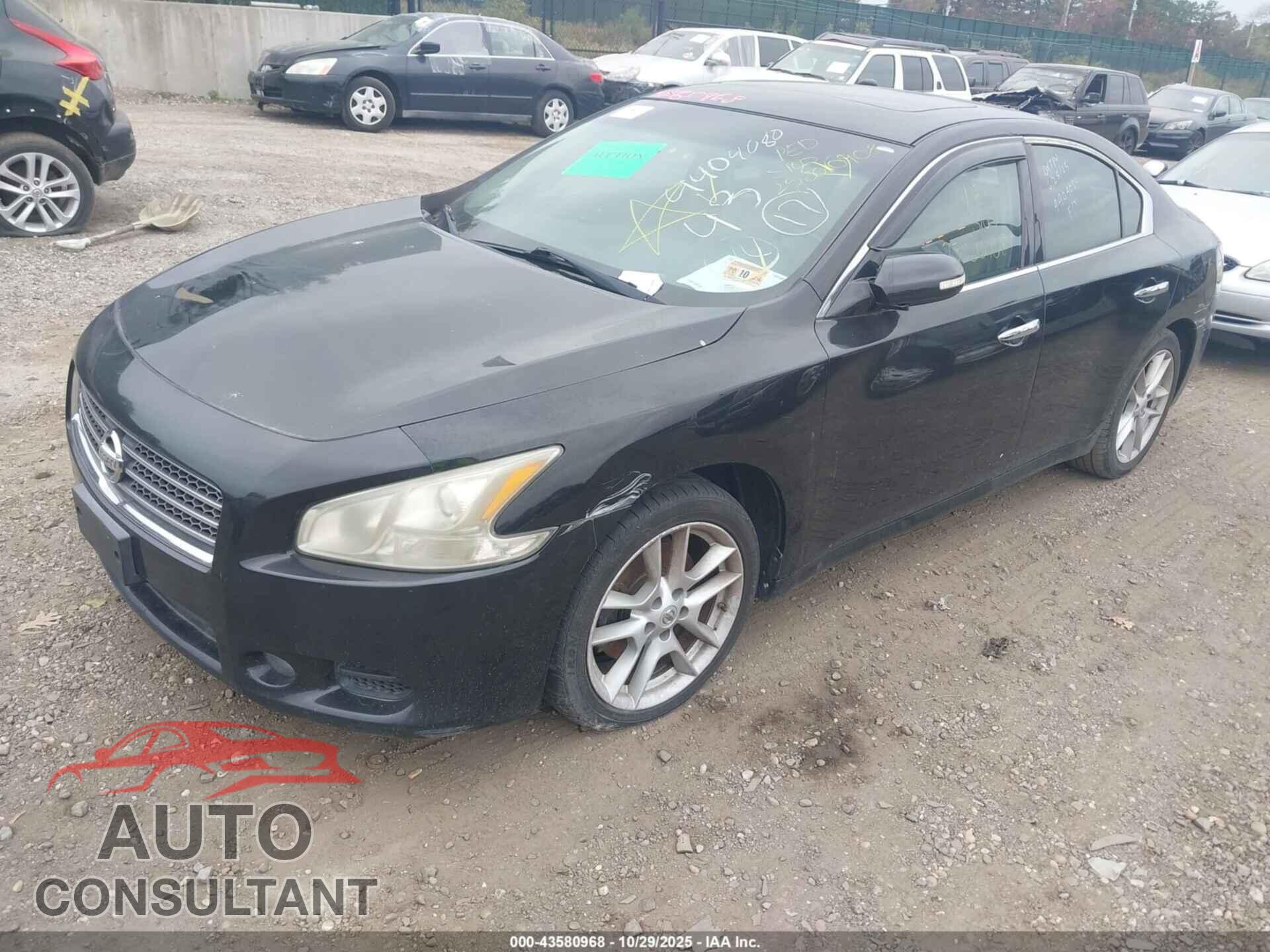 NISSAN MAXIMA 2011 - 1N4AA5AP3BC868303