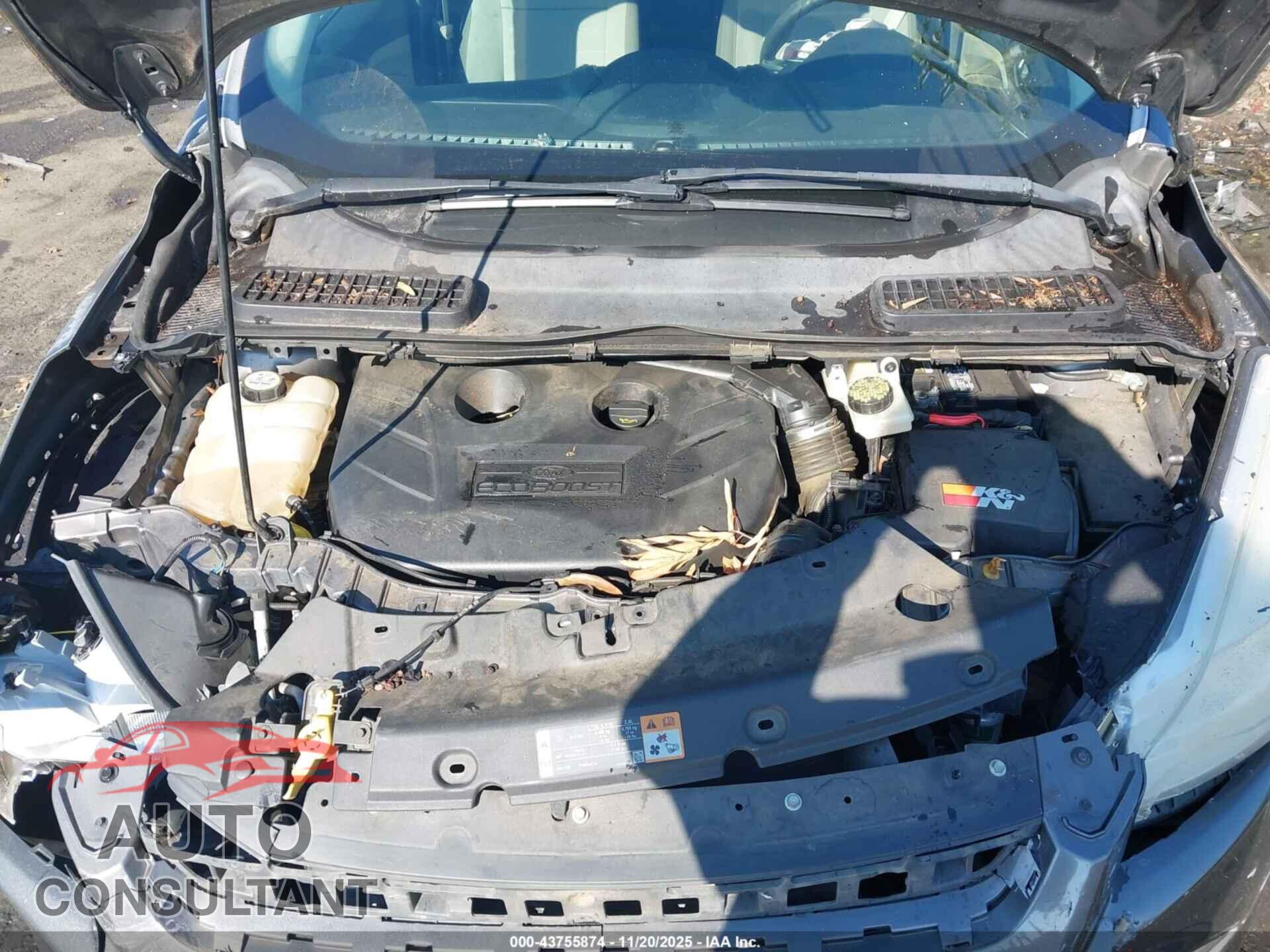 FORD ESCAPE 2013 - 1FMCU0G91DUD64072