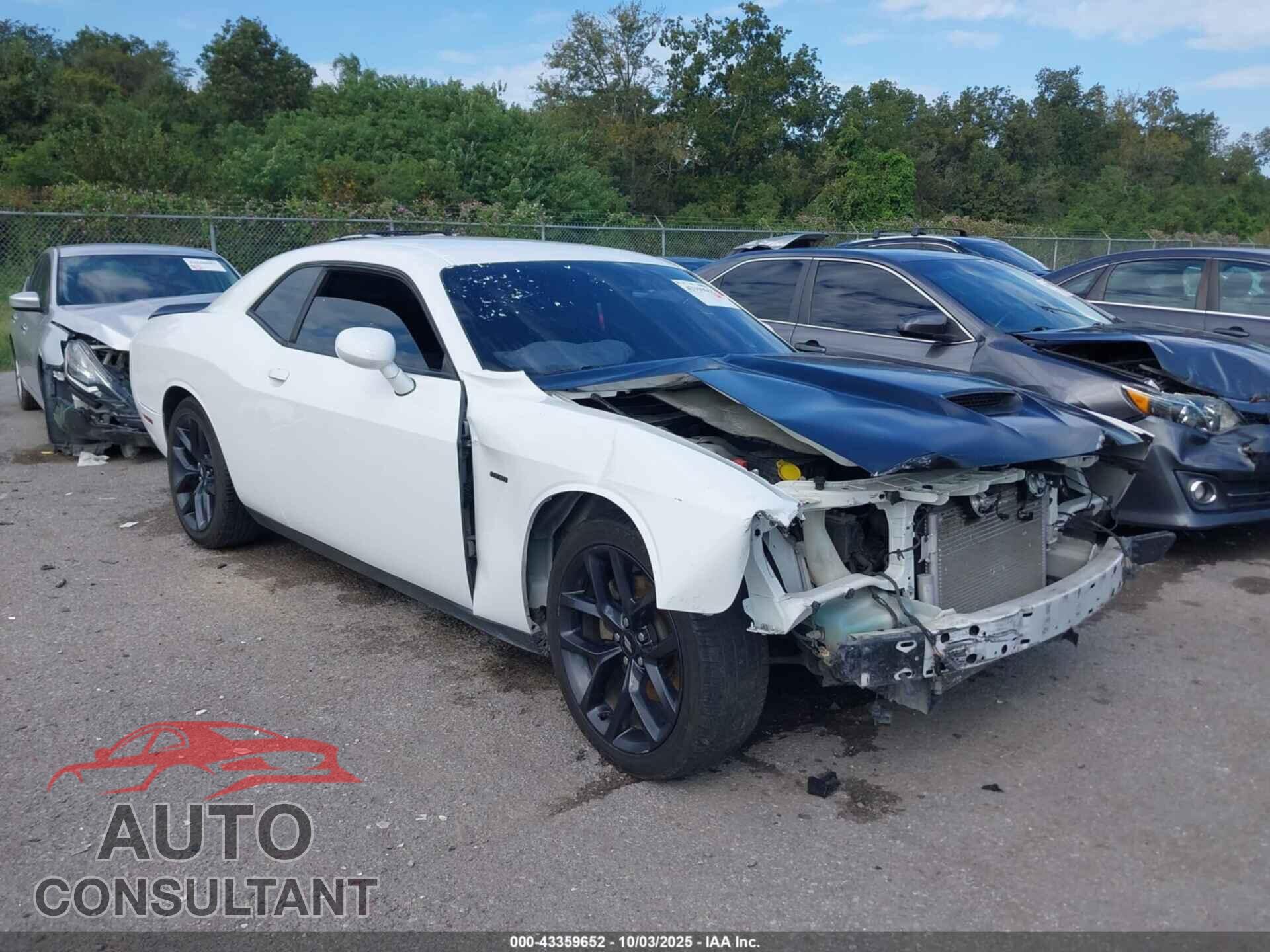 DODGE CHALLENGER 2019 - 2C3CDZBT4KH659621