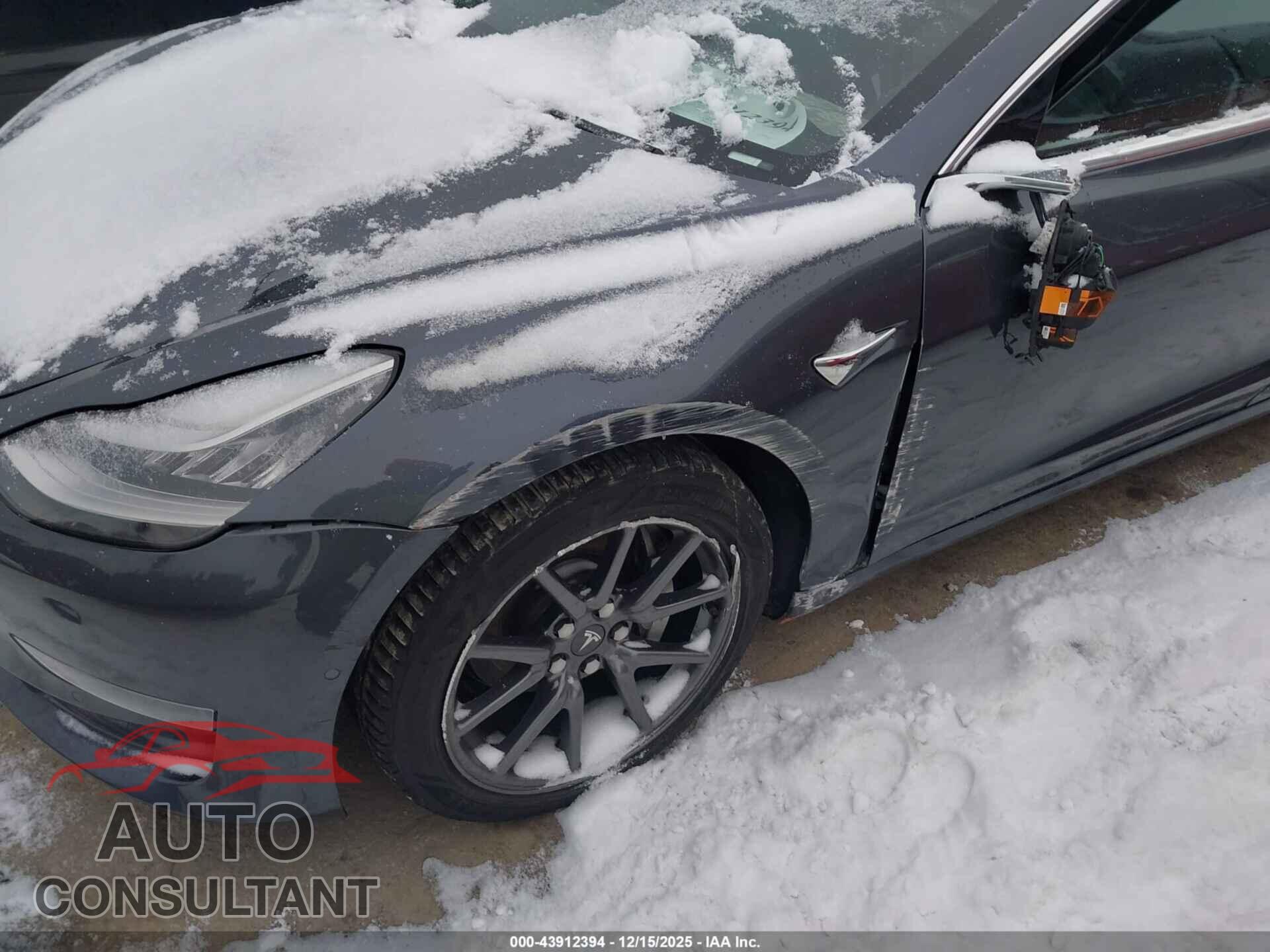 TESLA MODEL 3 2019 - 5YJ3E1EA2KF307647